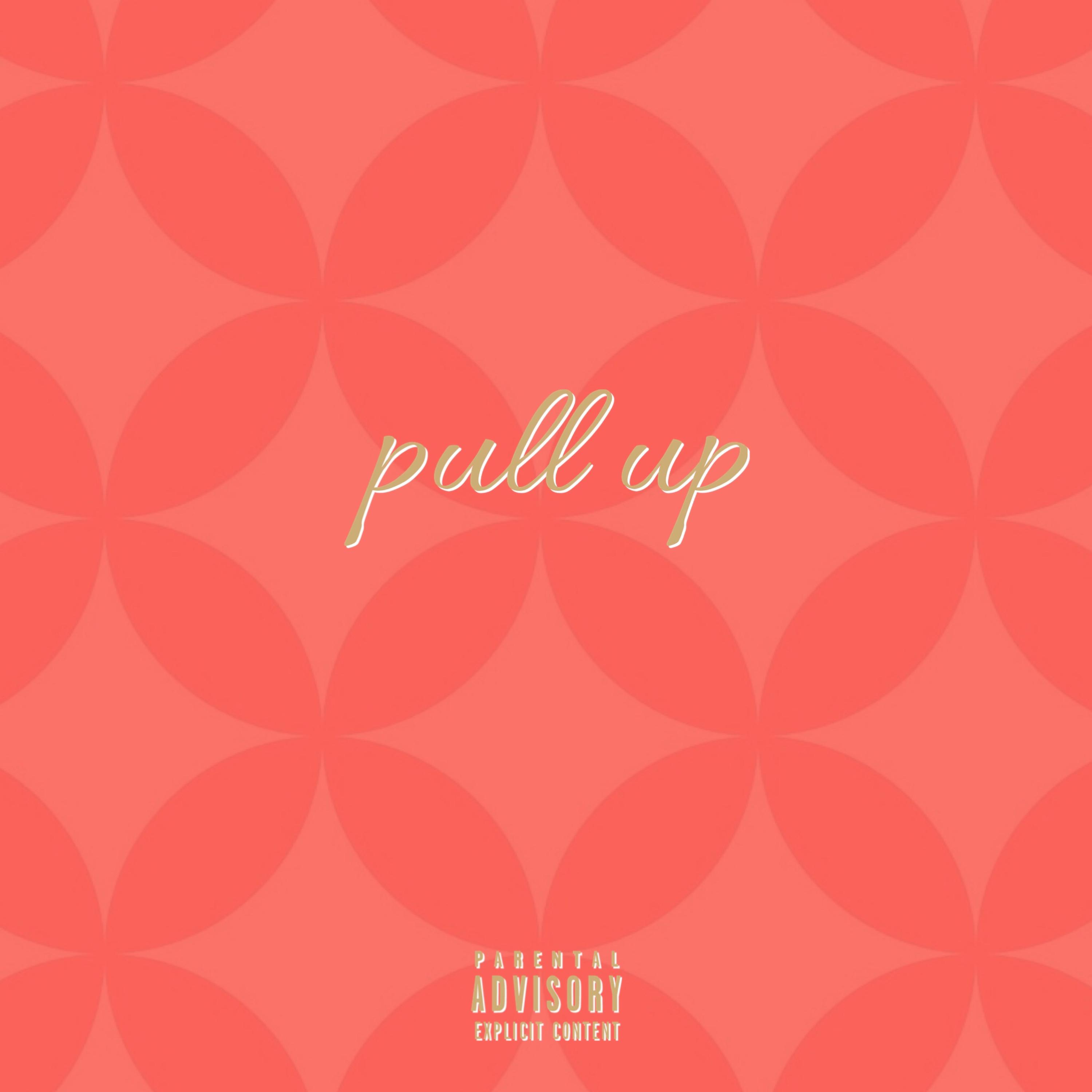 Pull Up by Casey Jones cover art