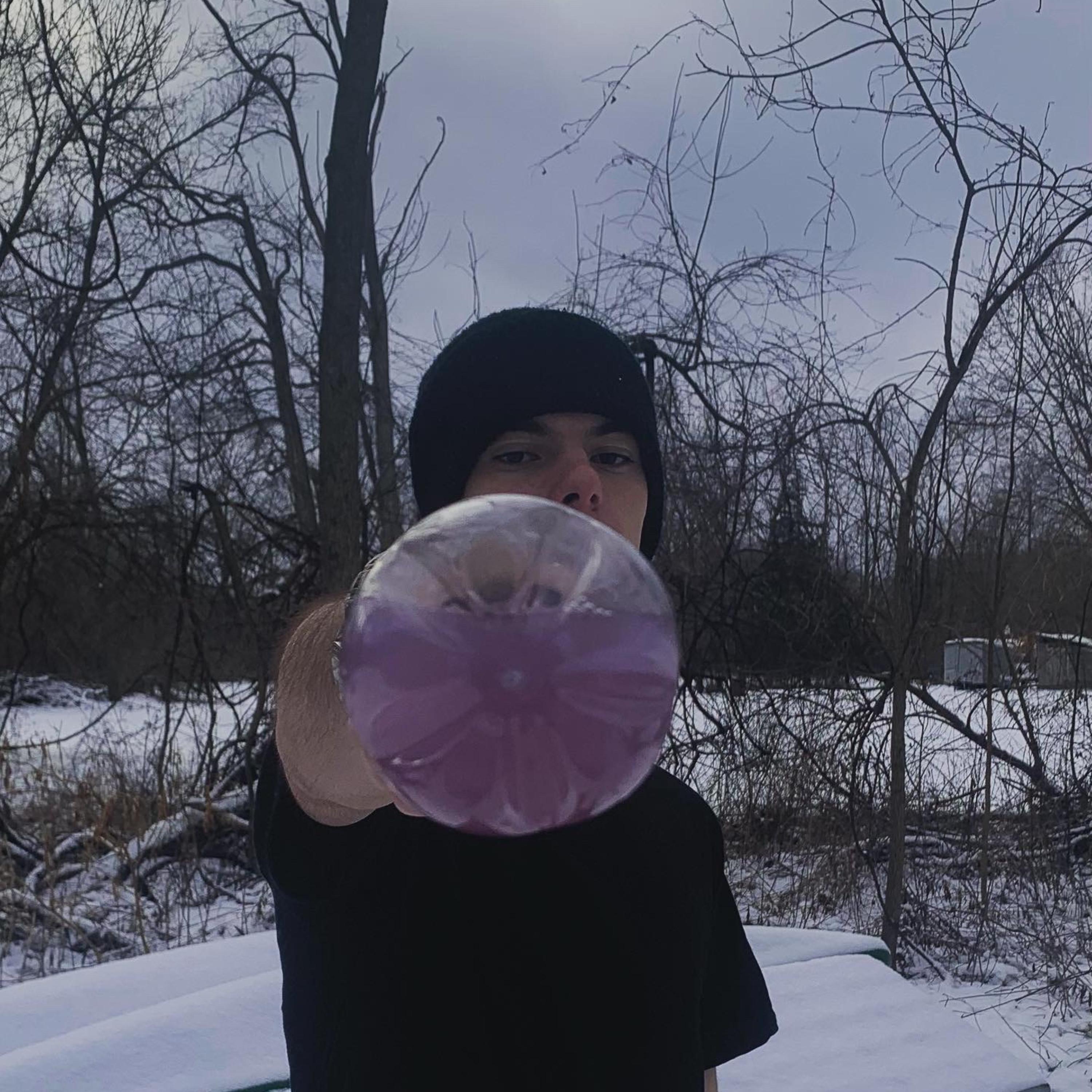 Steady Stupid 2 artwork