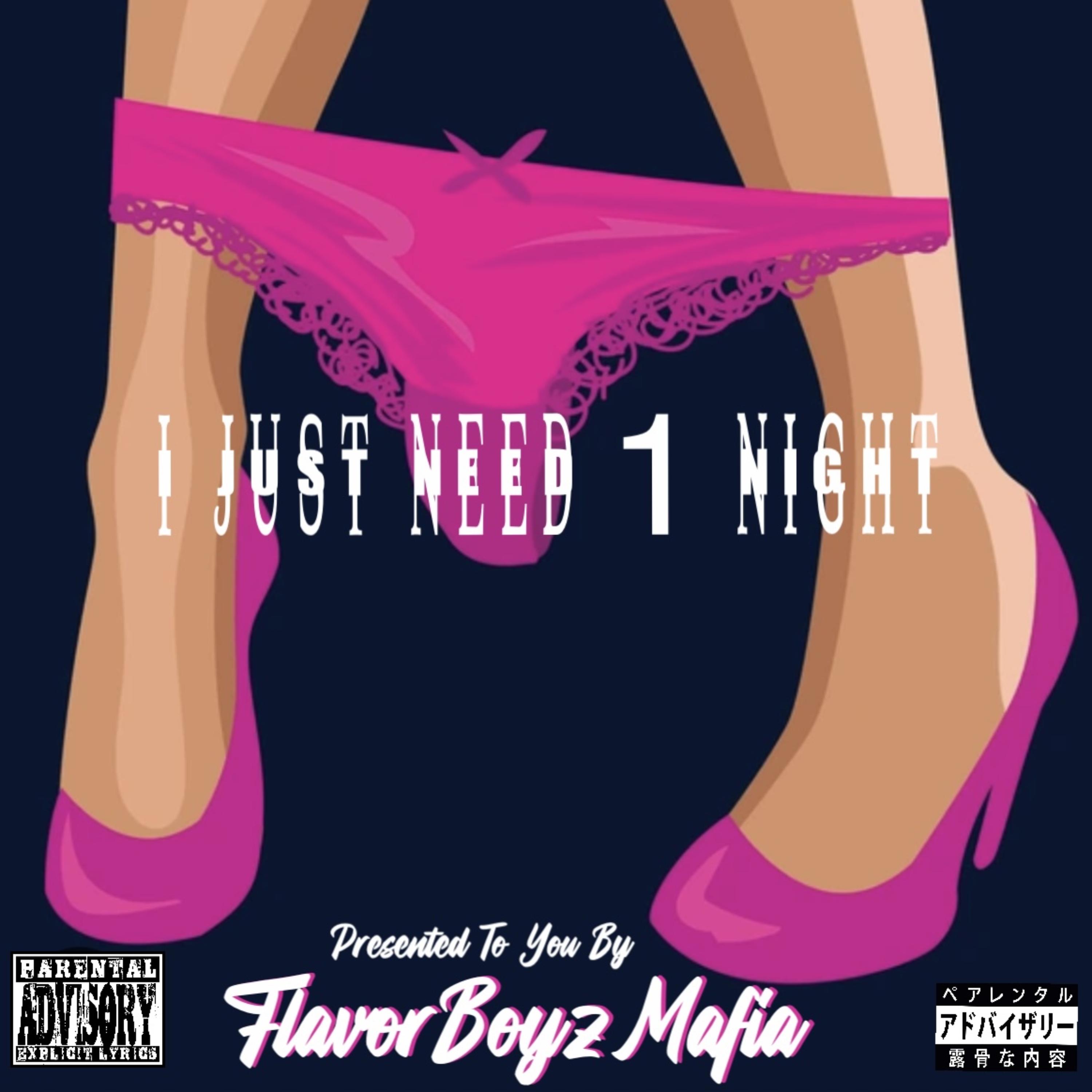 I Just Need 1 Night artwork