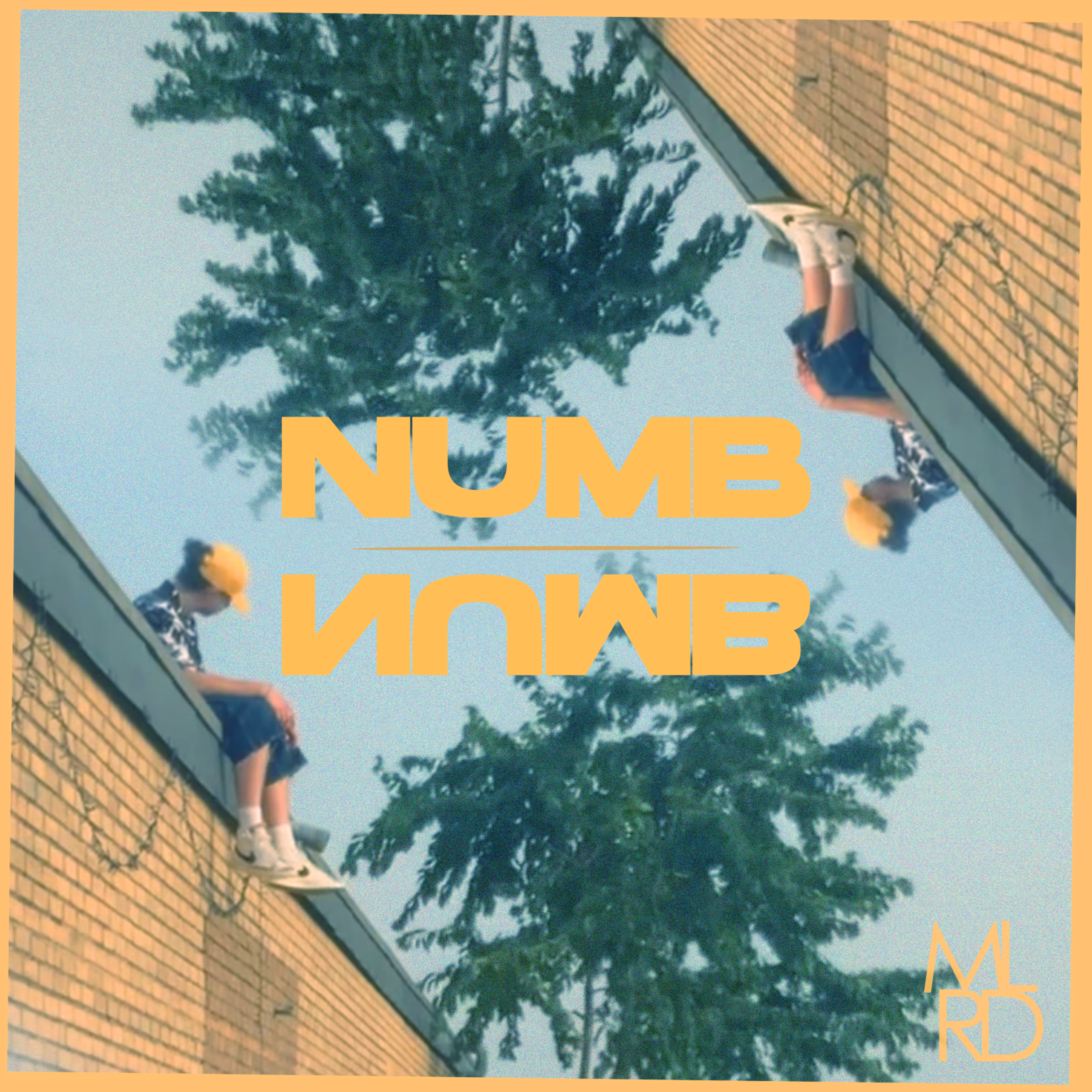 Numb artwork