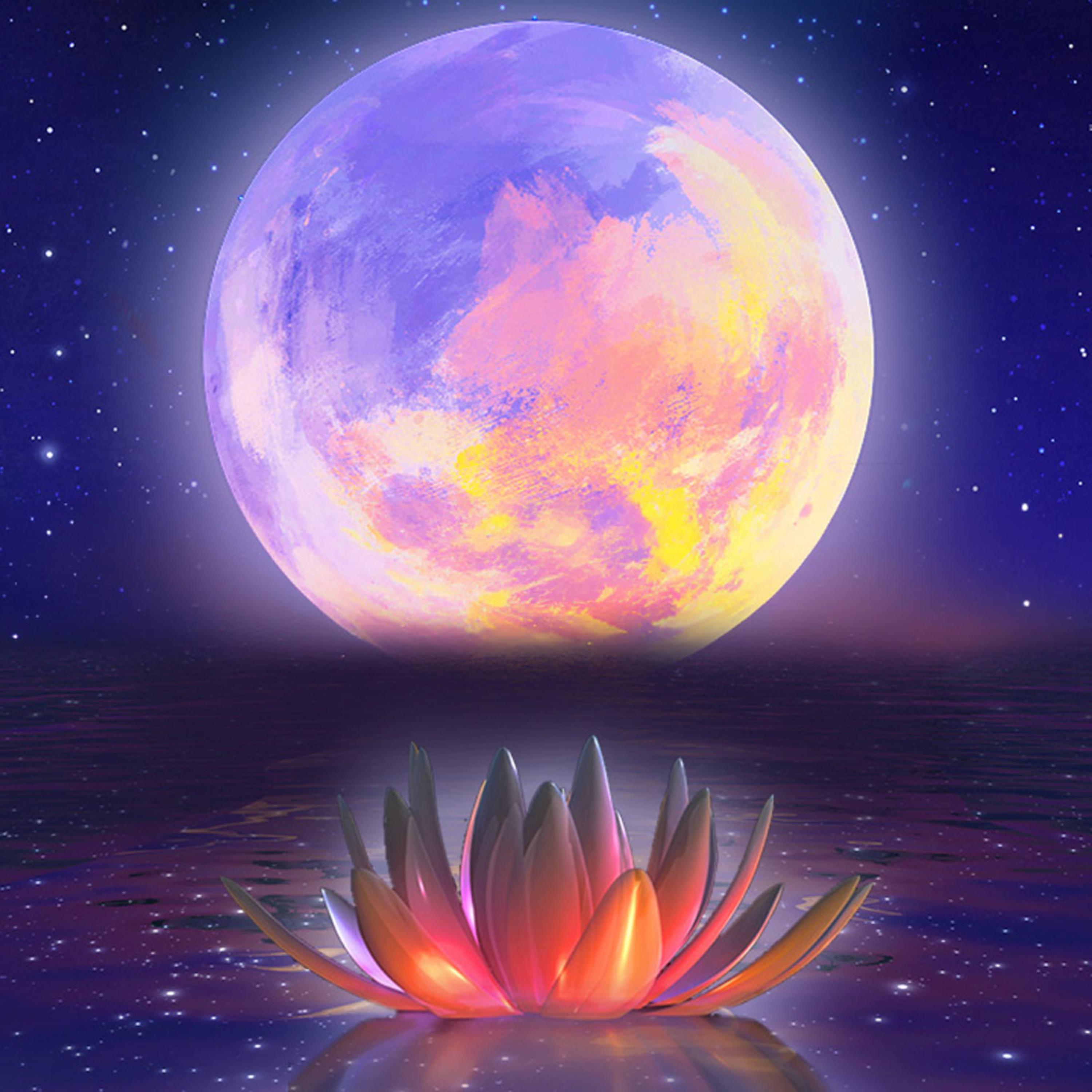 Healing Sleep Meditation For Body & Mind artwork