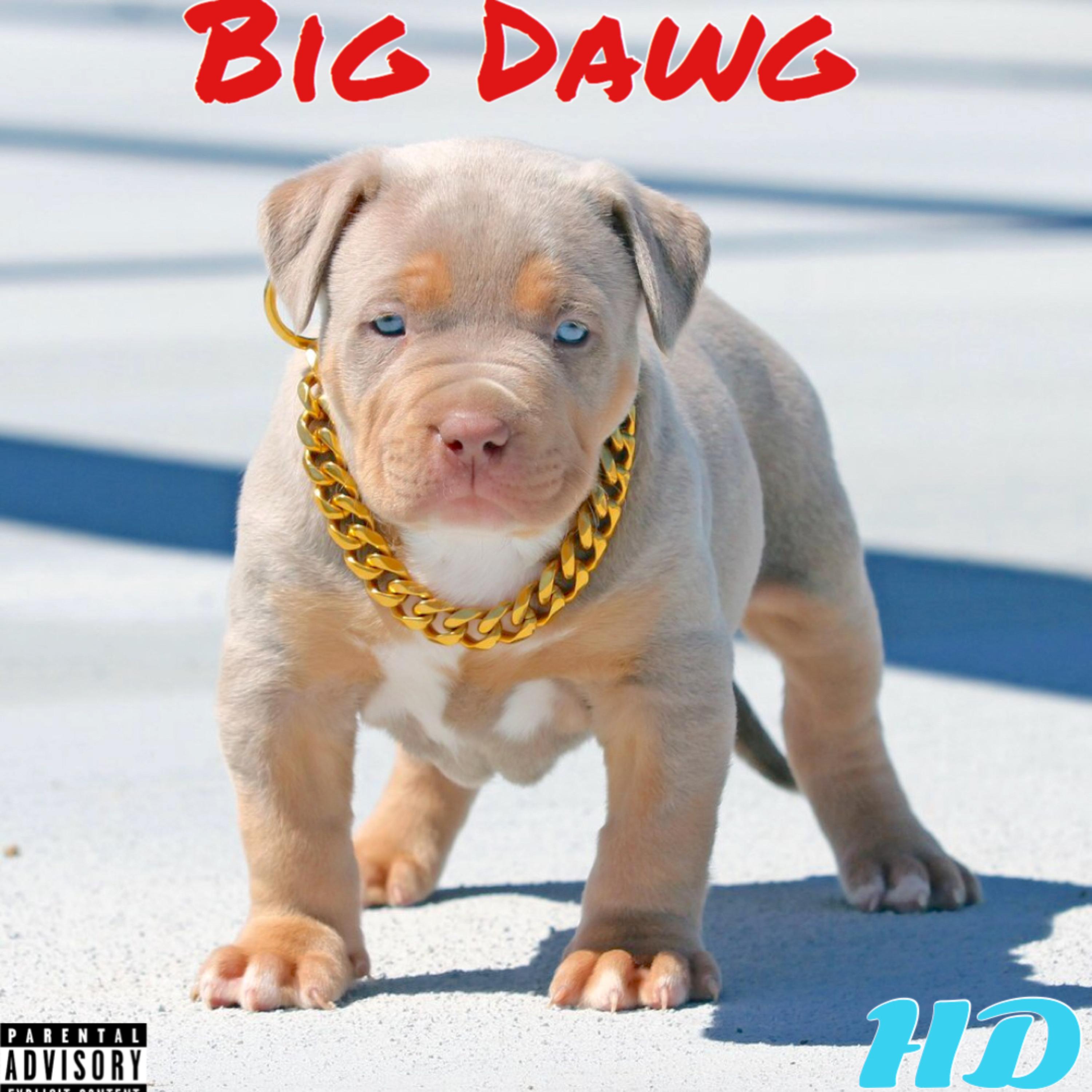 Big Dawg artwork