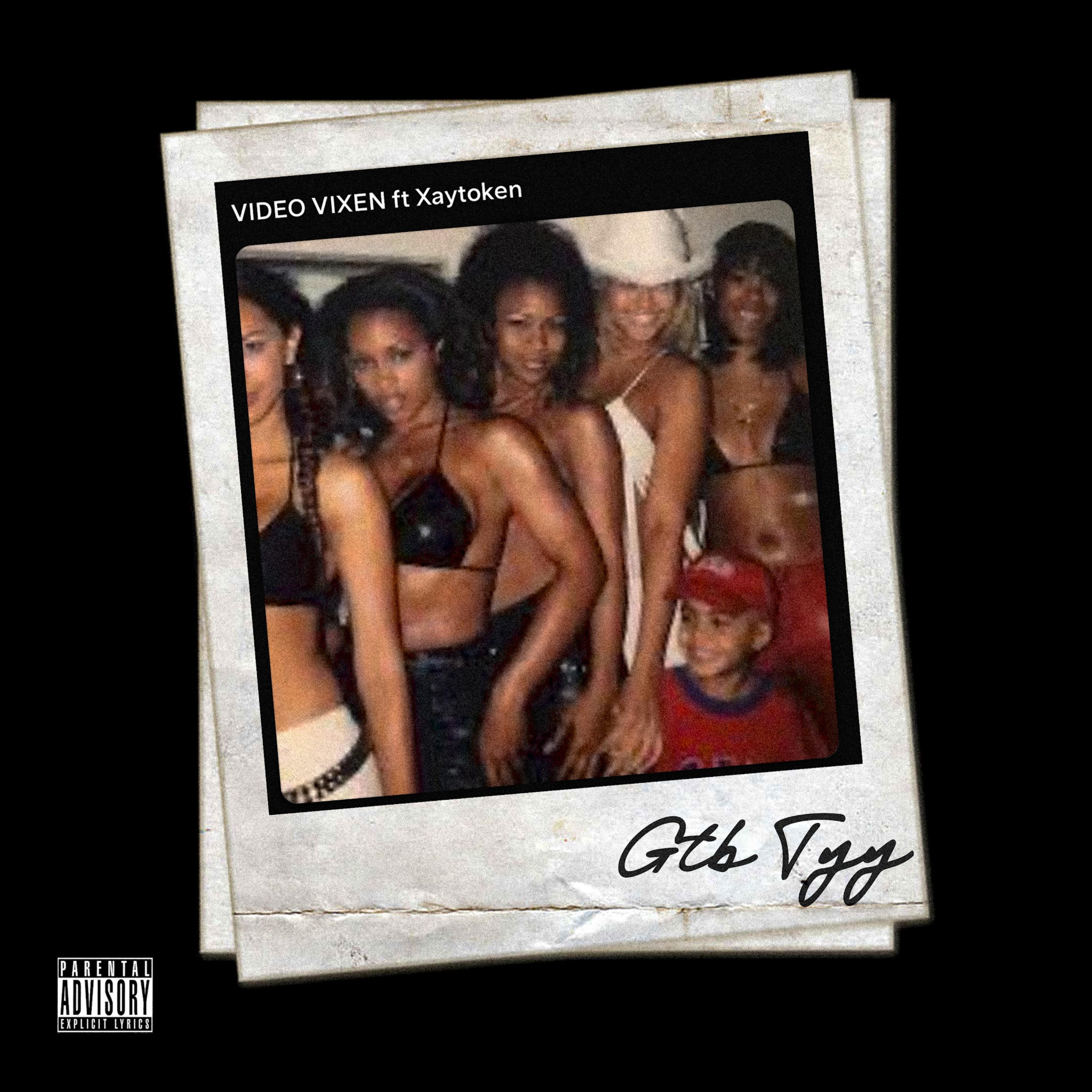 Video Vixen by GTB TYY cover art