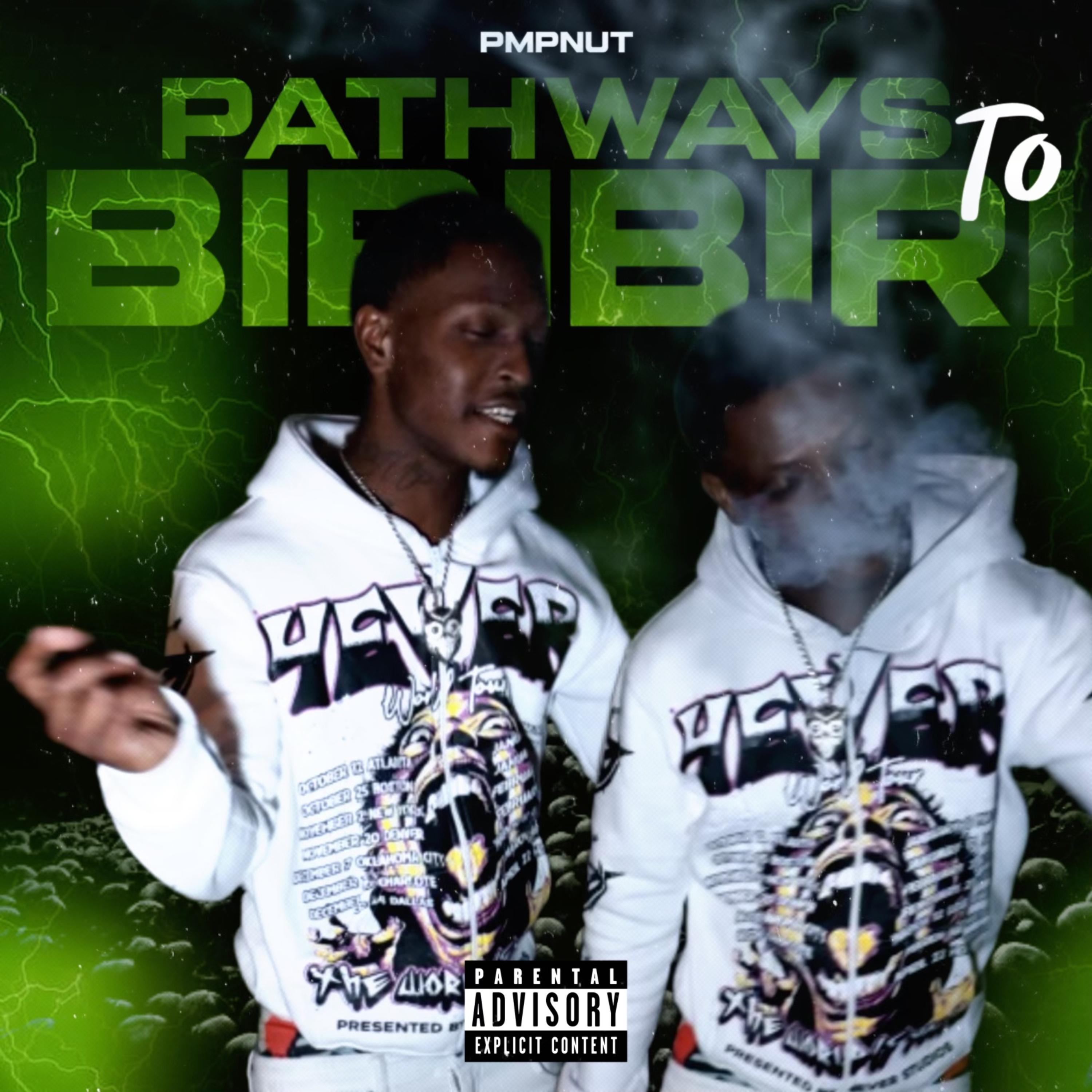 Pathways To BIRIBIRI artwork