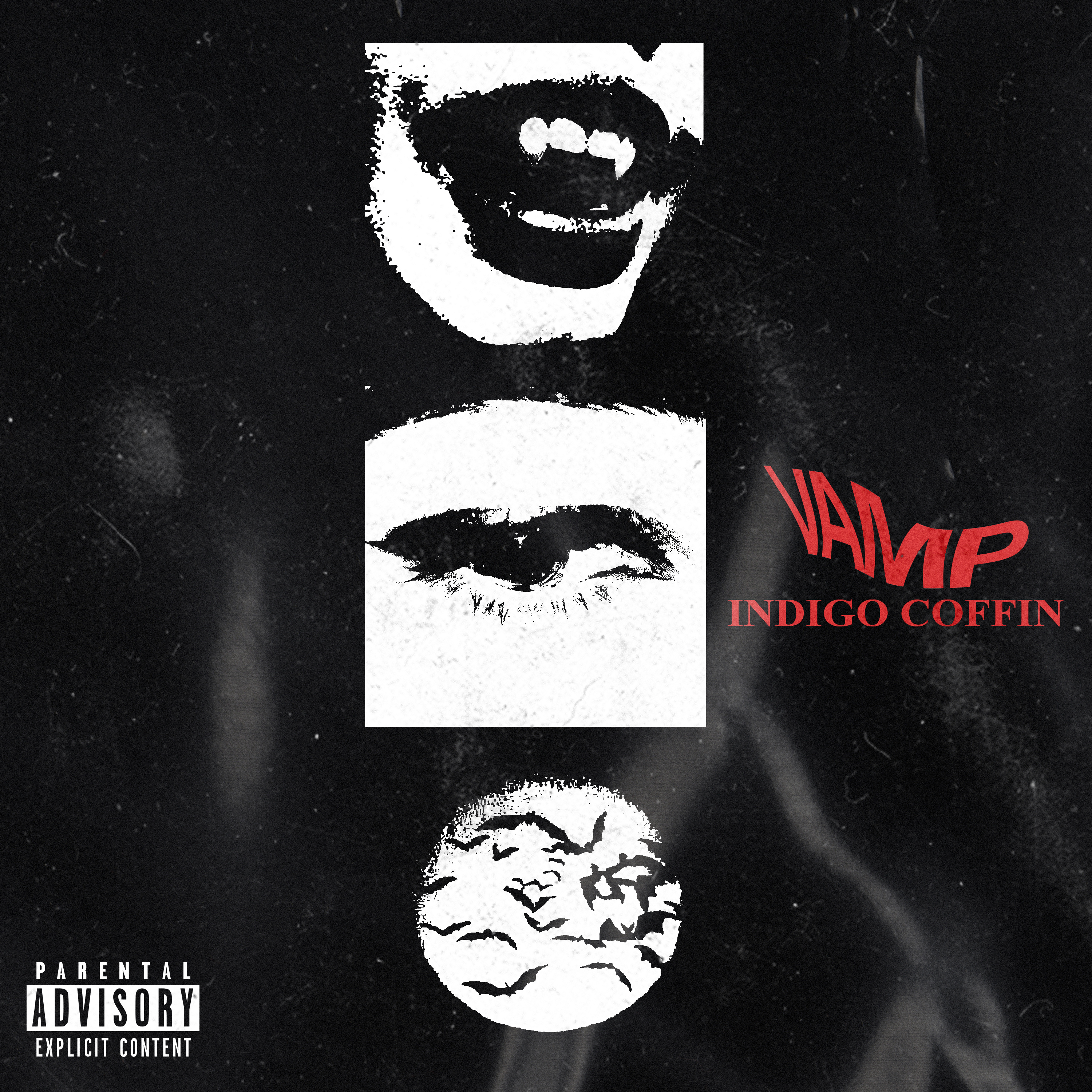 VAMP INDIGO COFFIN artwork
