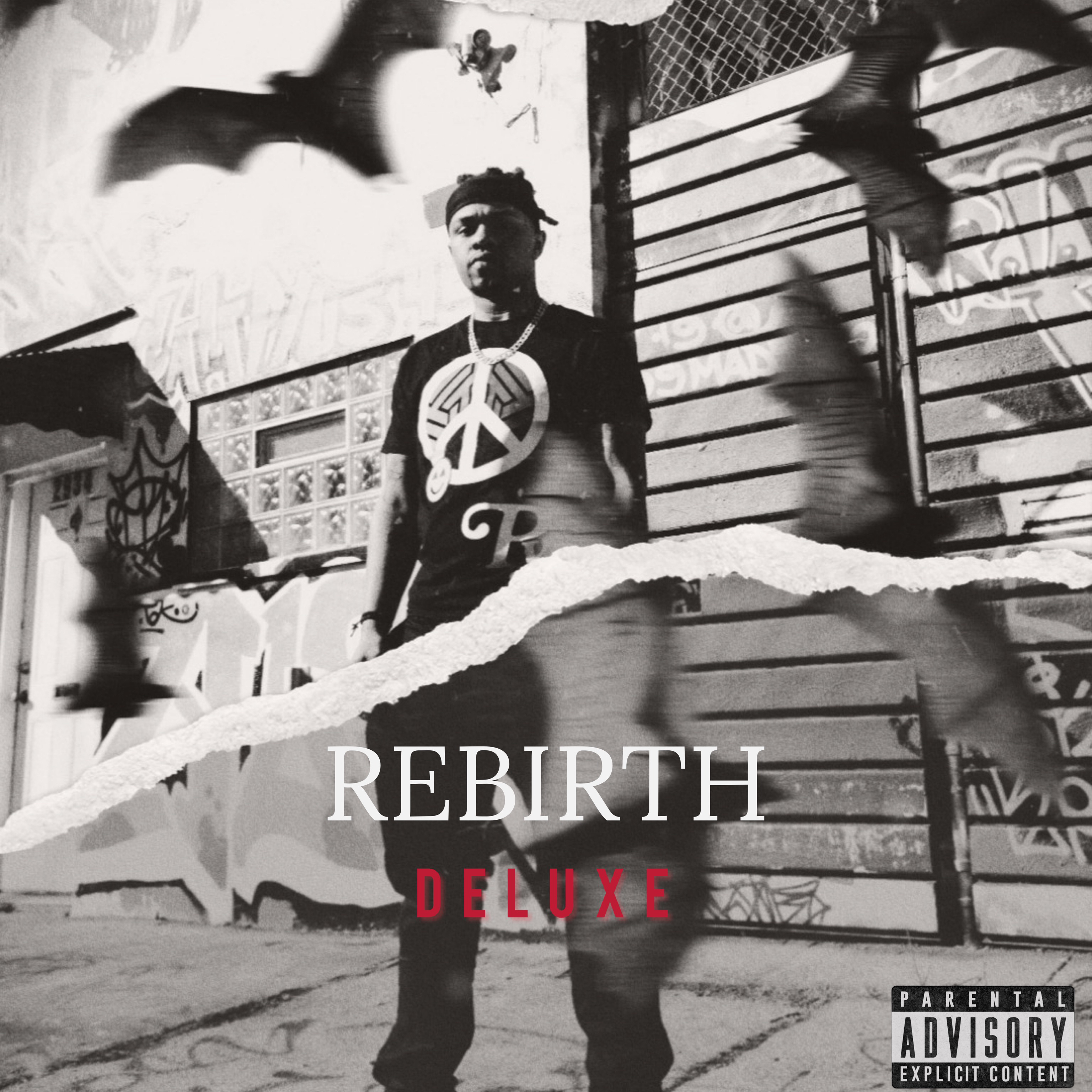 REBIRTH (DELUXE) artwork