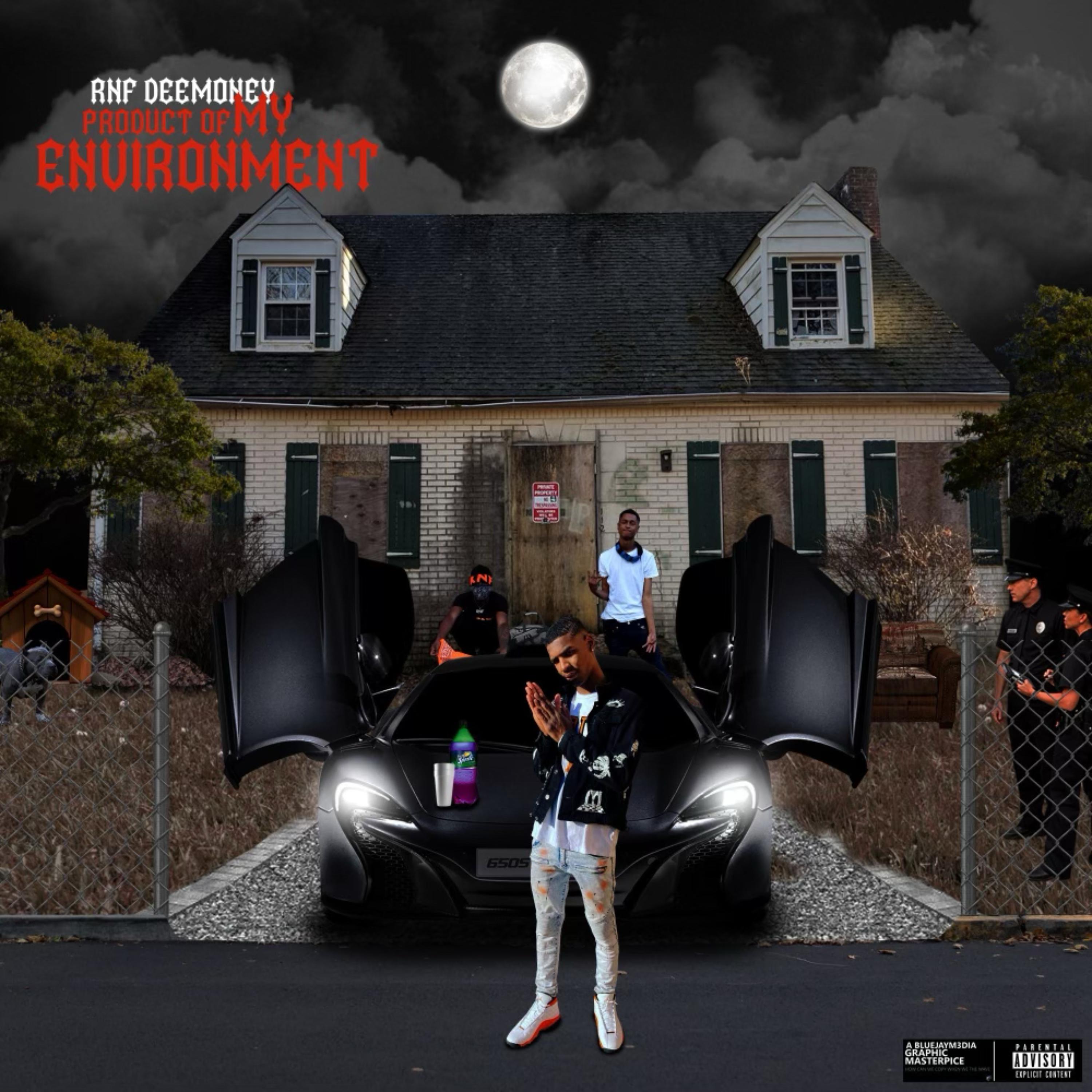 Product Of My Environment artwork