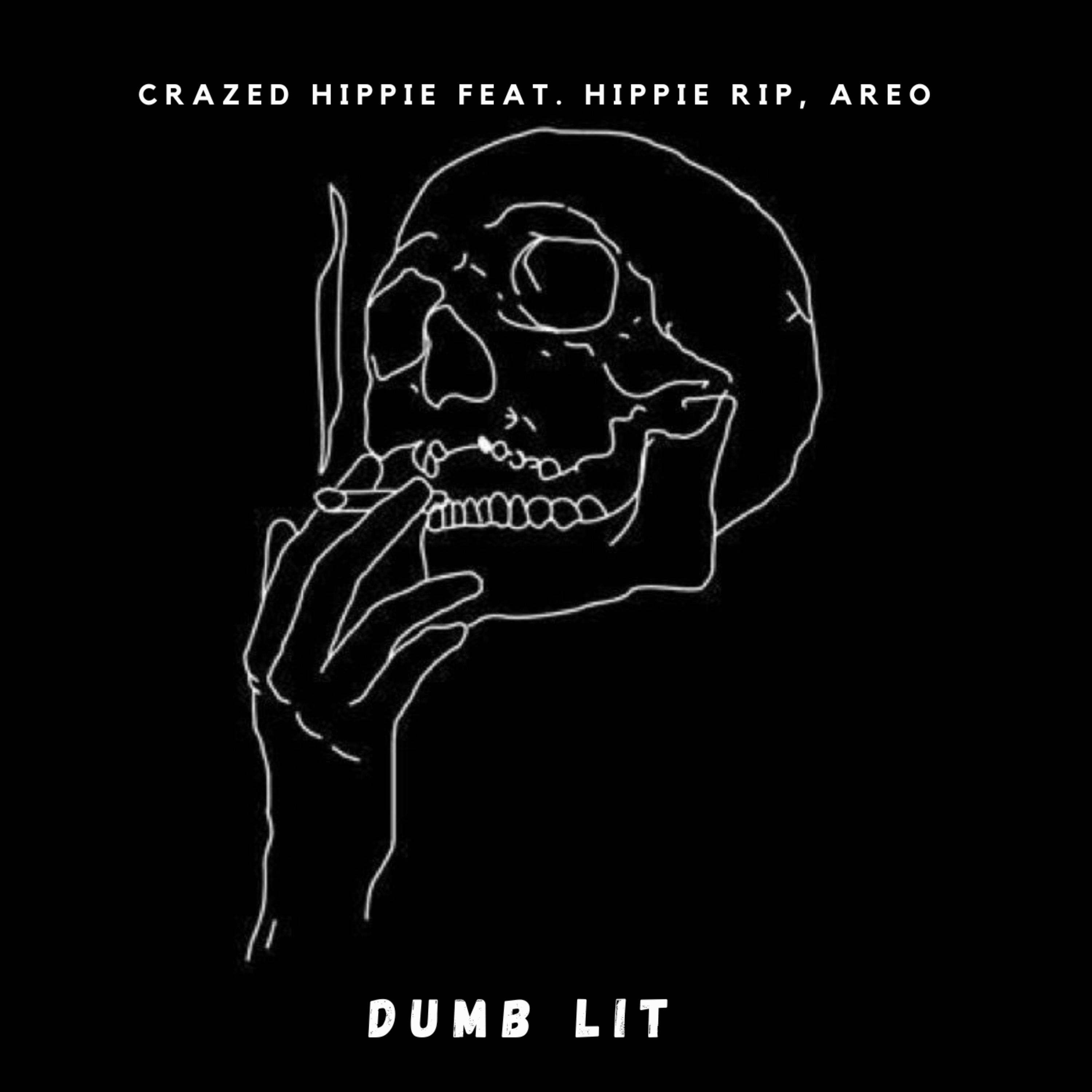 Dumb Lit by Crazed Hippie cover art