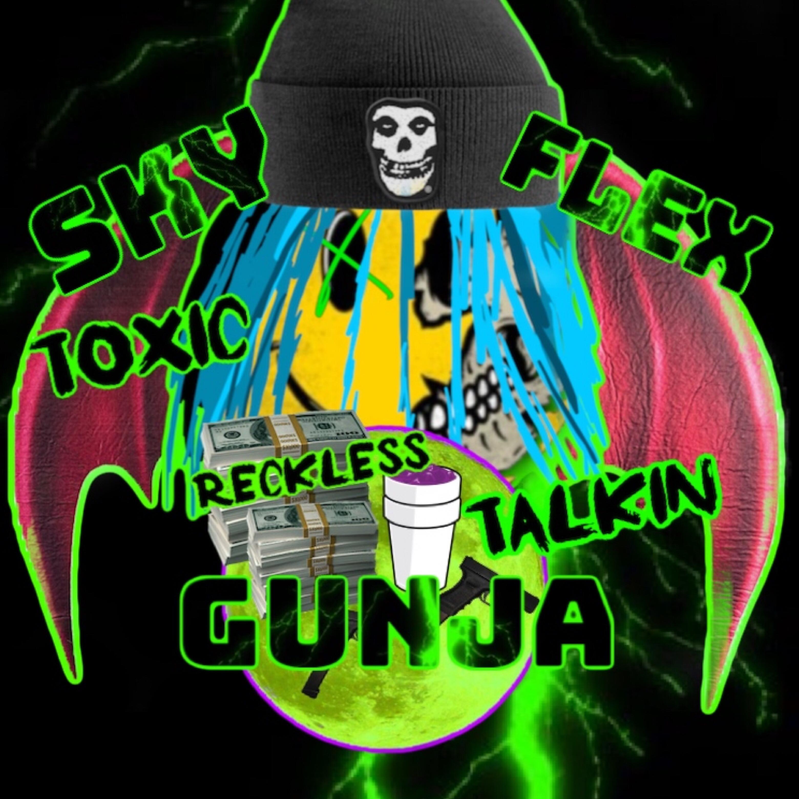 Toxic Reckless Talkin artwork