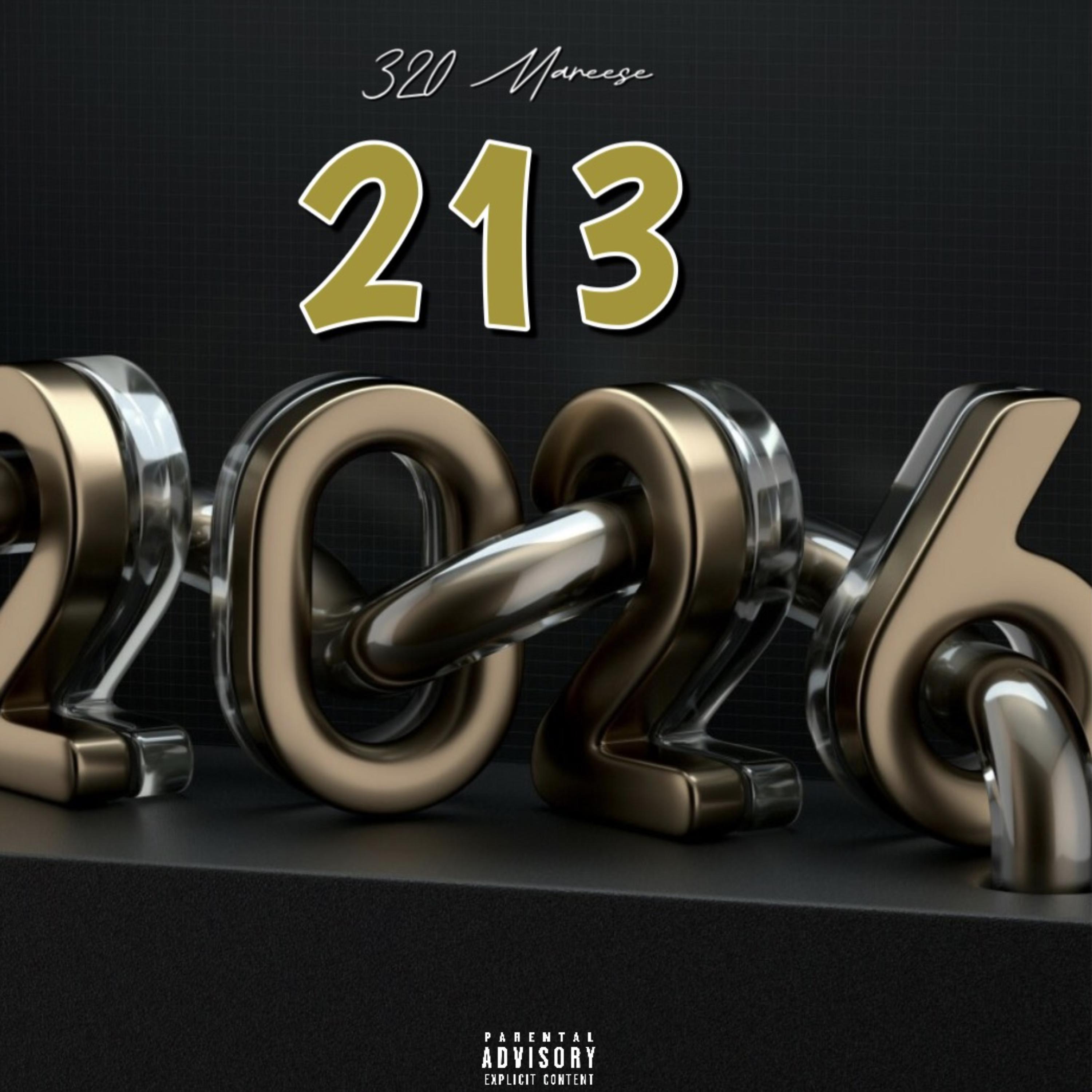 213 artwork