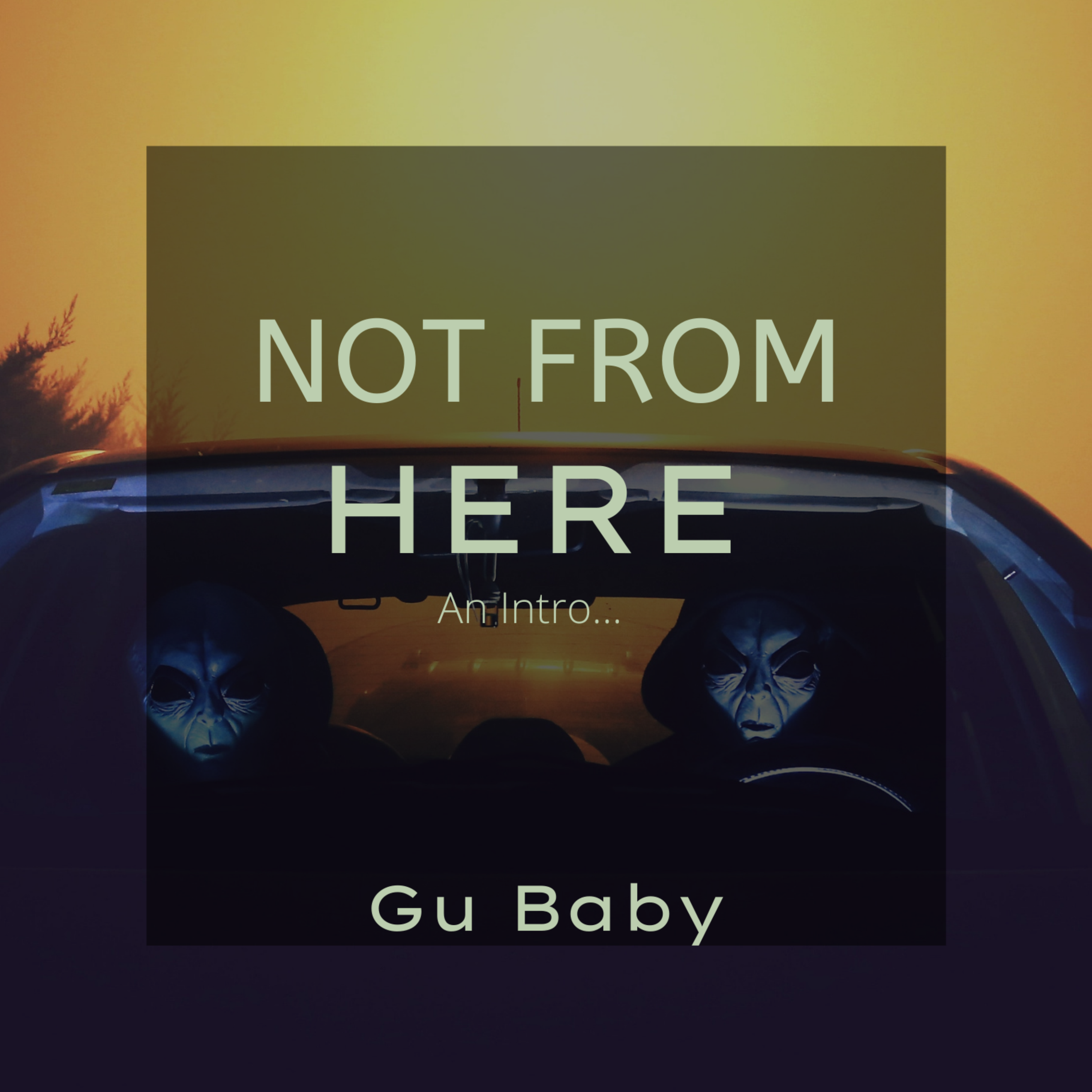 Not From Here... An Intro by Gu Baby cover art
