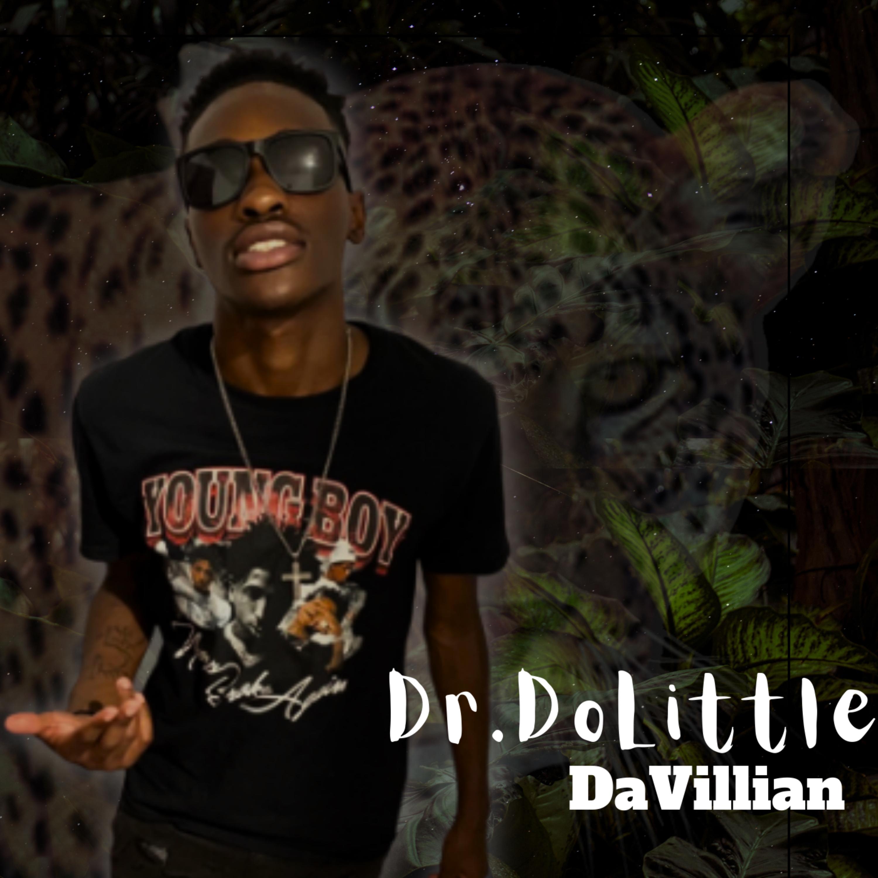 Dr.DoLittle artwork