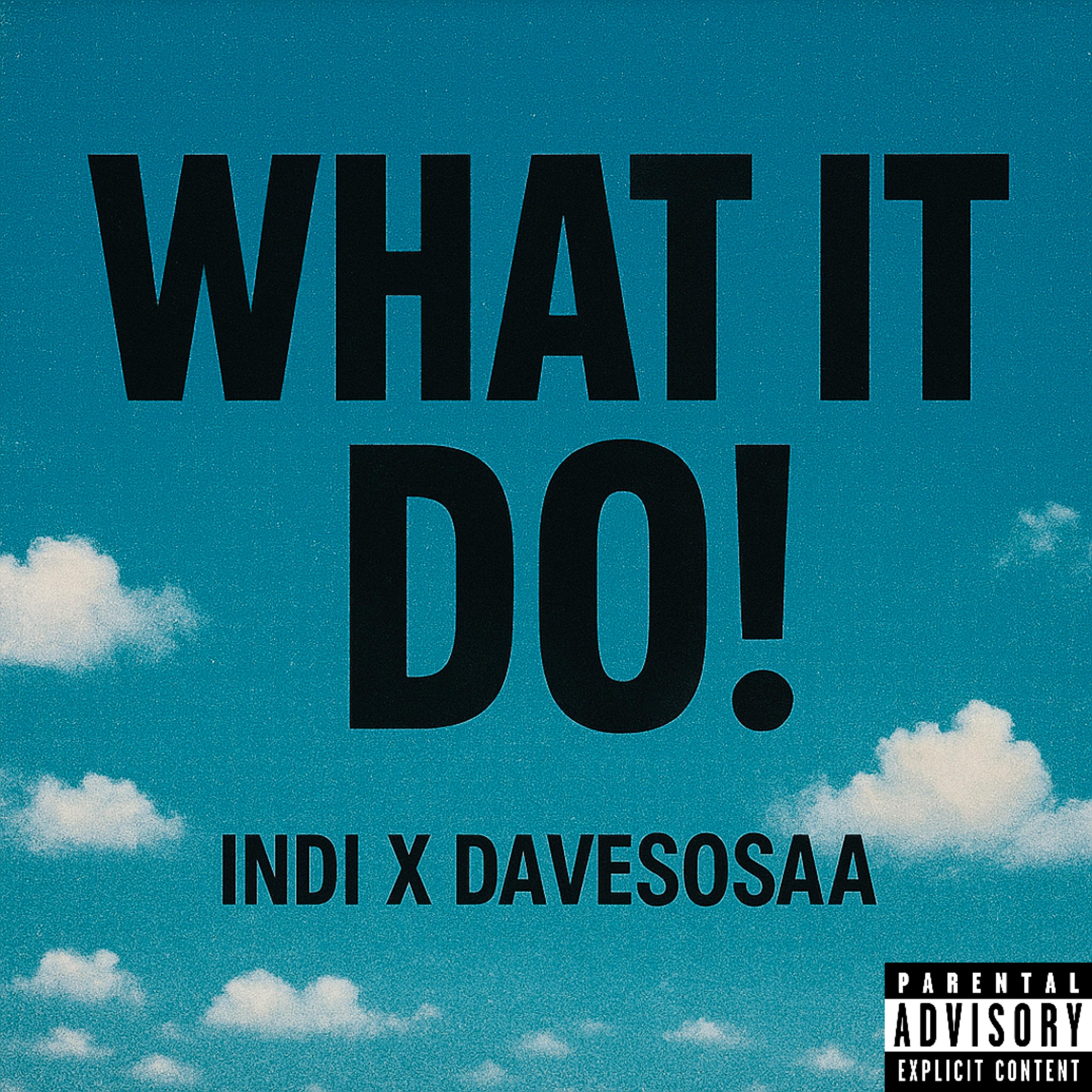 What It Do ! artwork