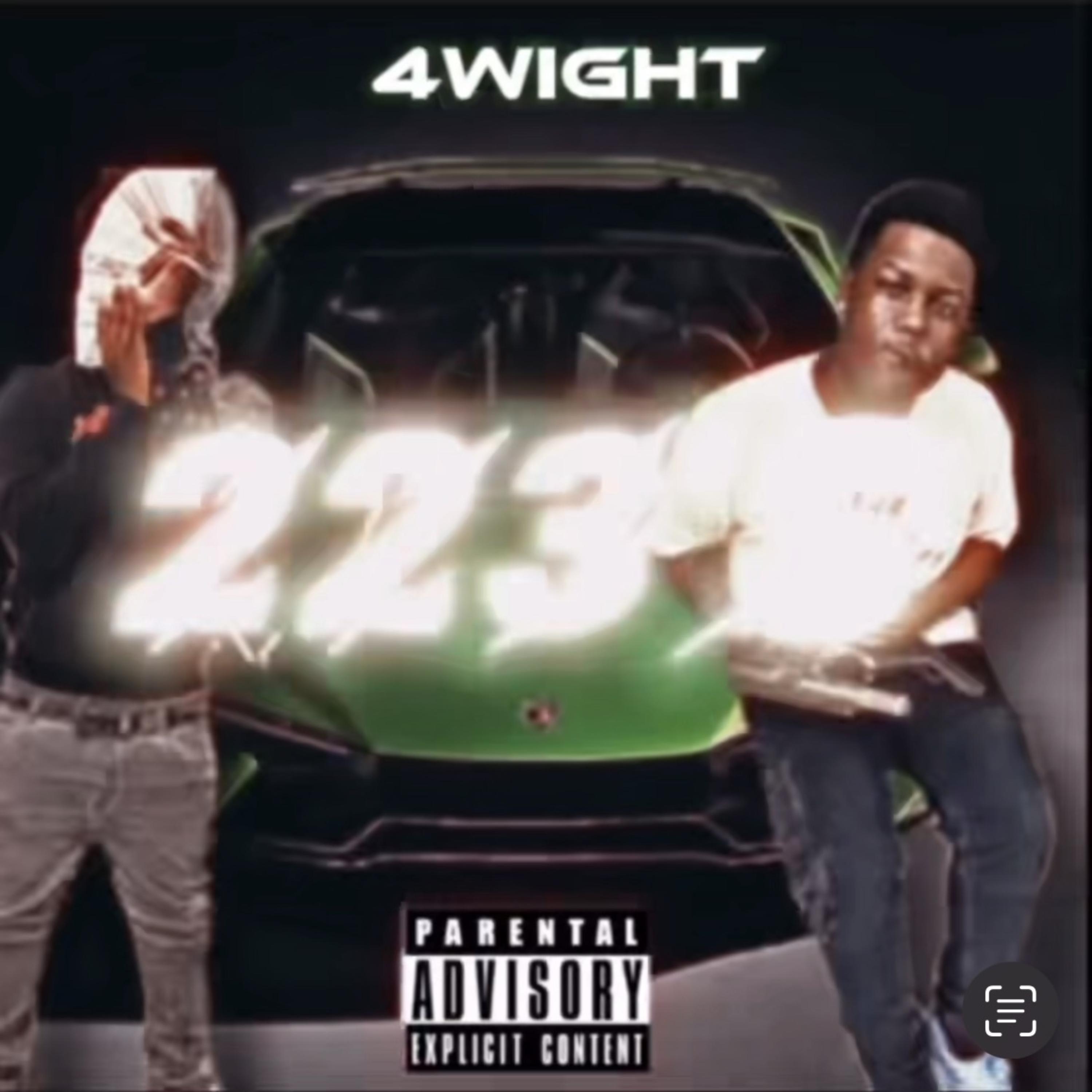 223's artwork