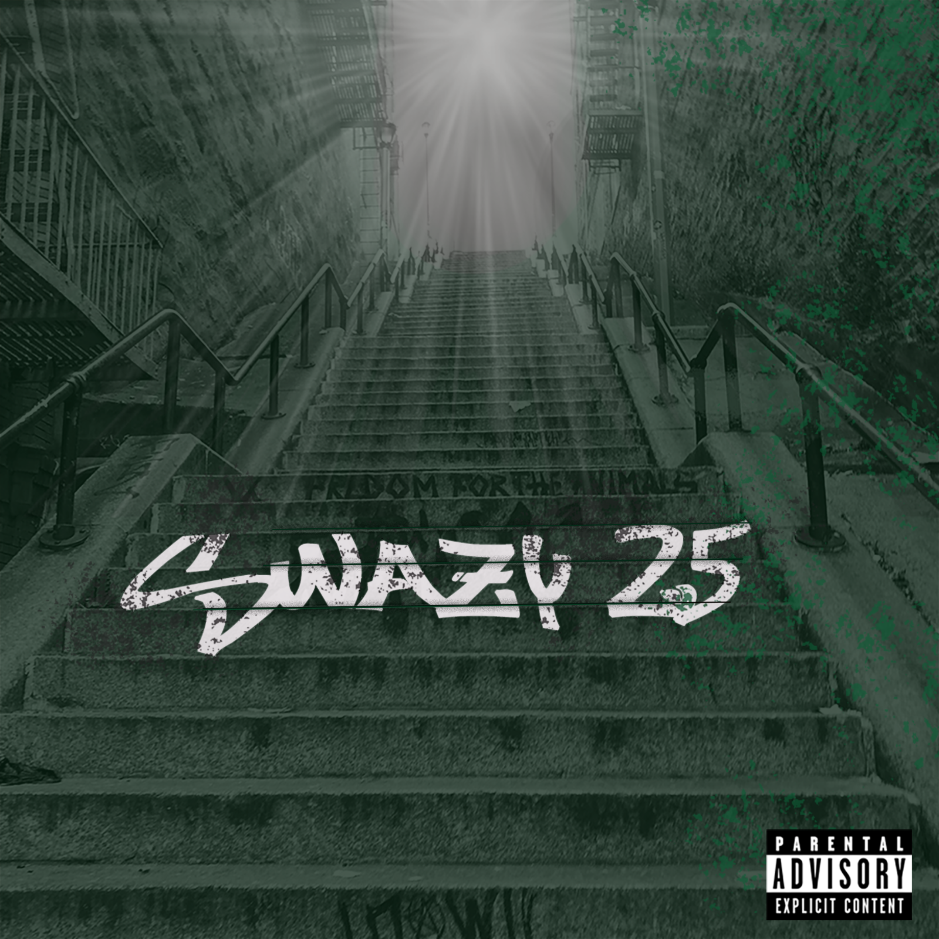 SWAZY 25 artwork