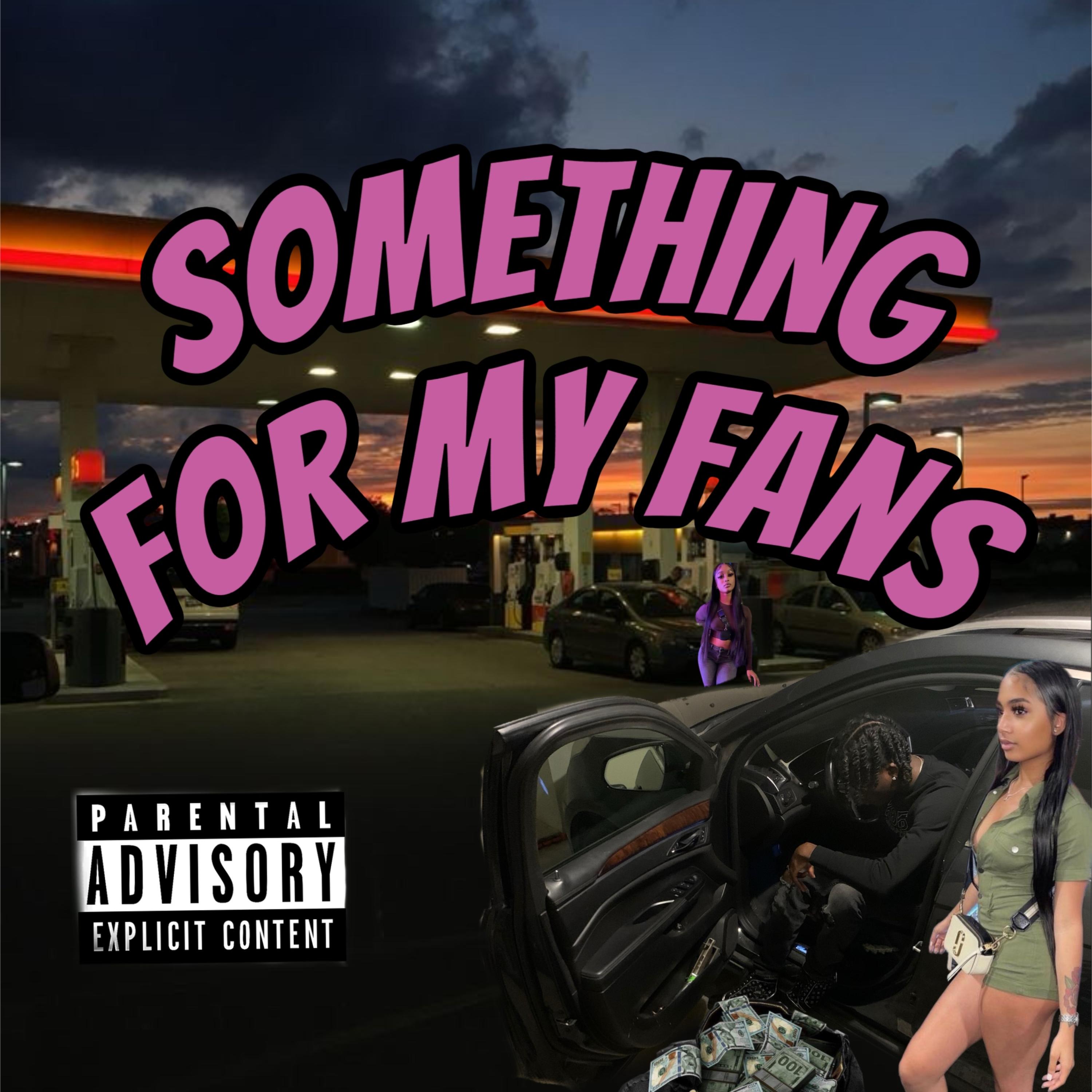 Something For My Fans artwork