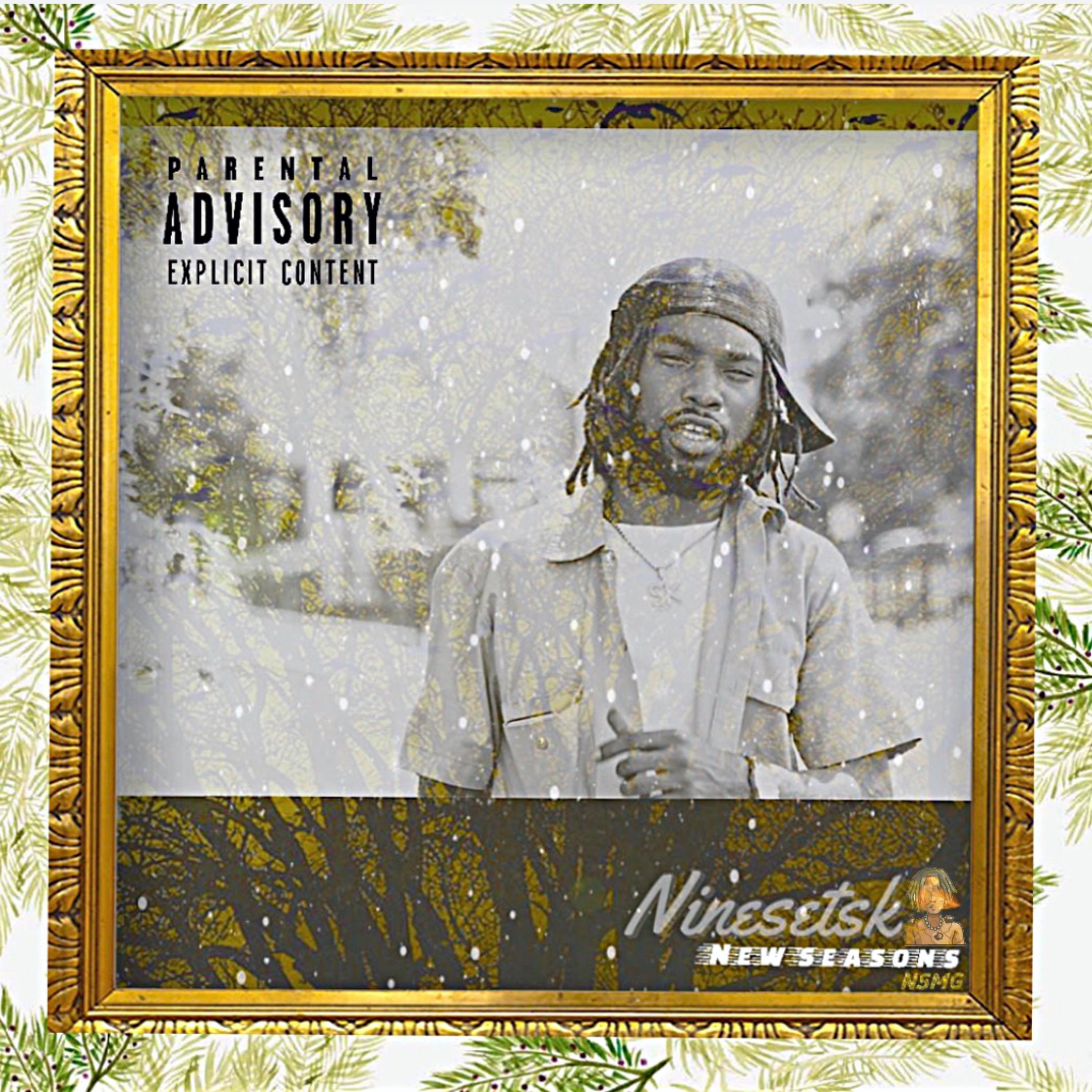 New Seasons by Nineset SK cover art