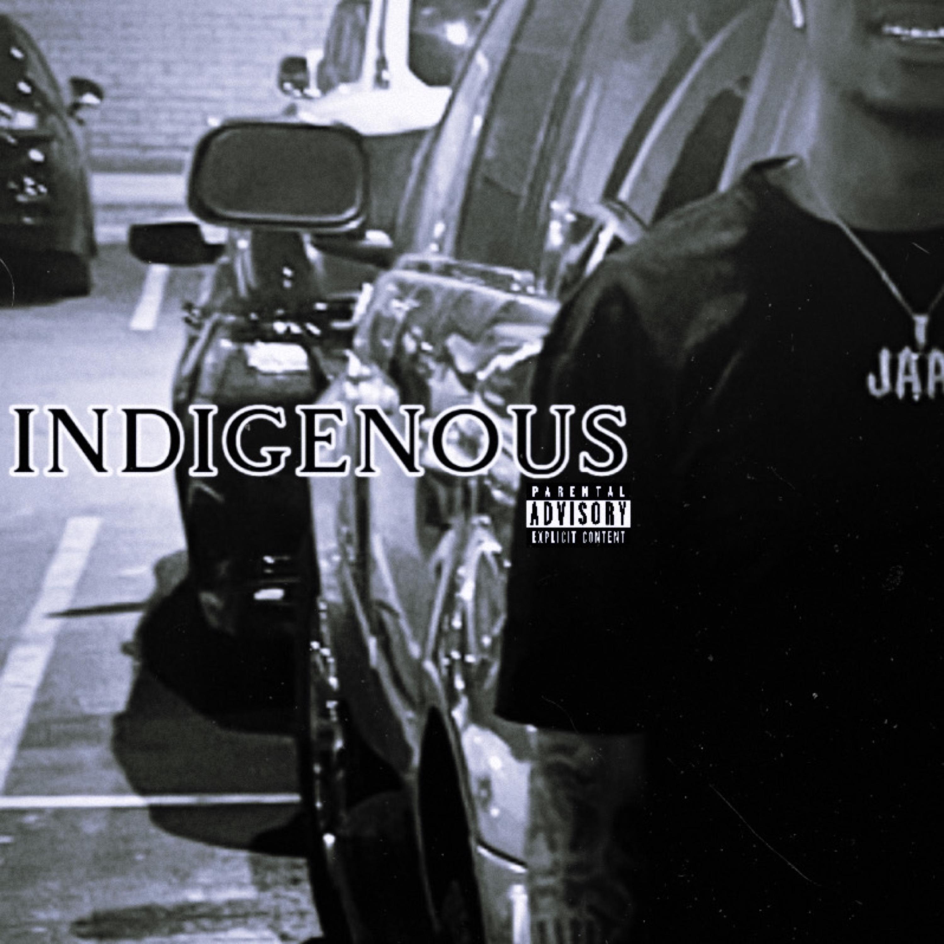 INDIGENOUS artwork