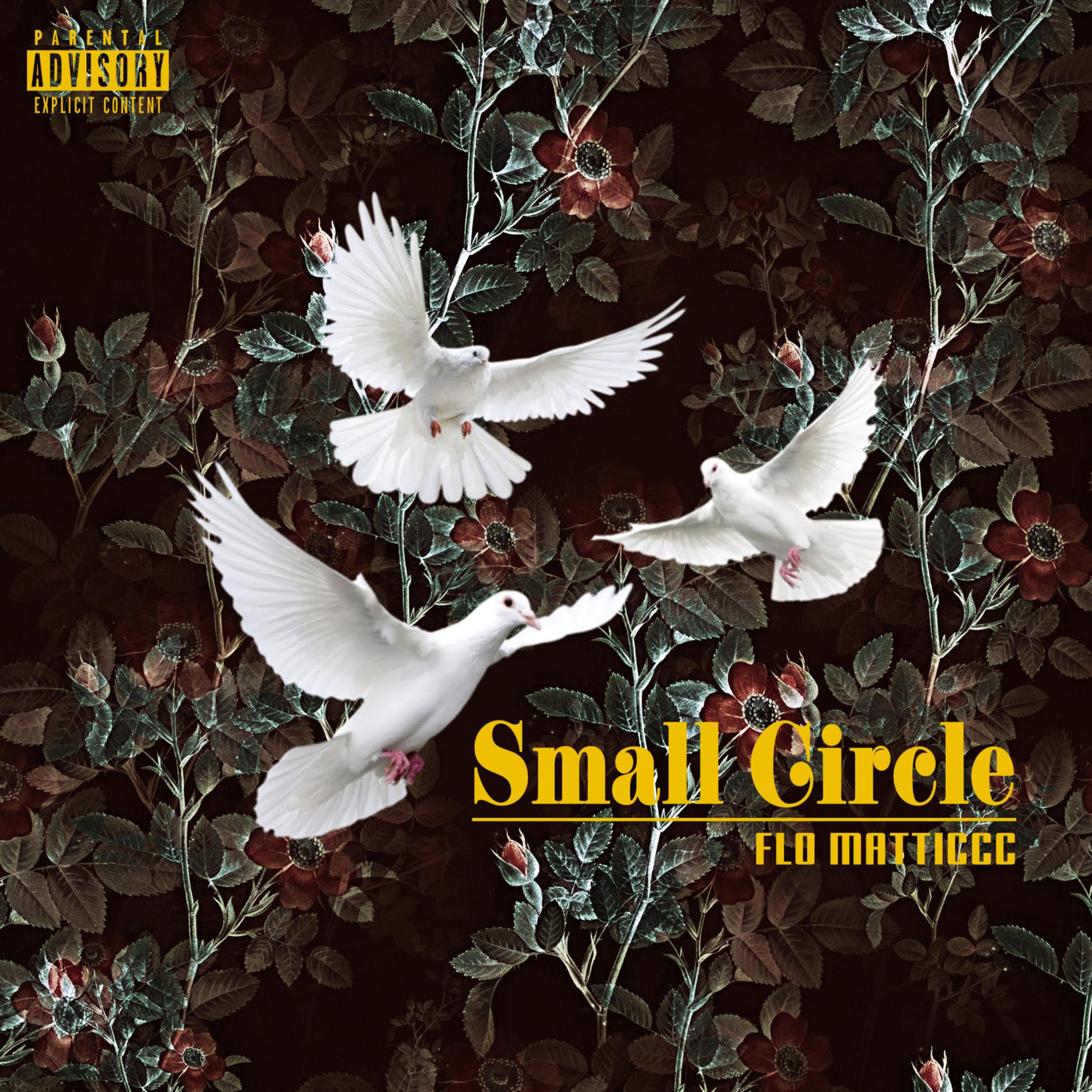 Small Circle artwork