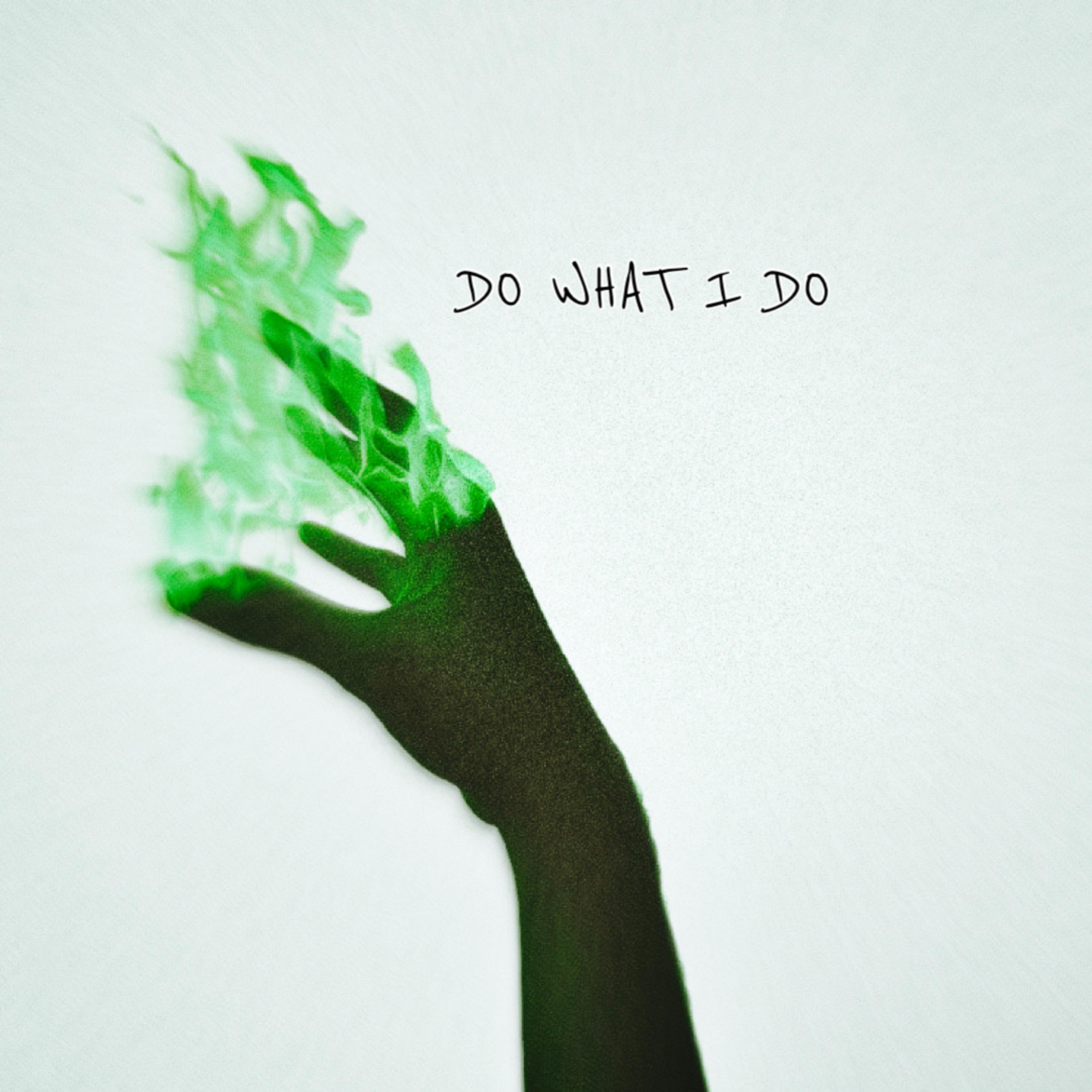 Do What I Do artwork