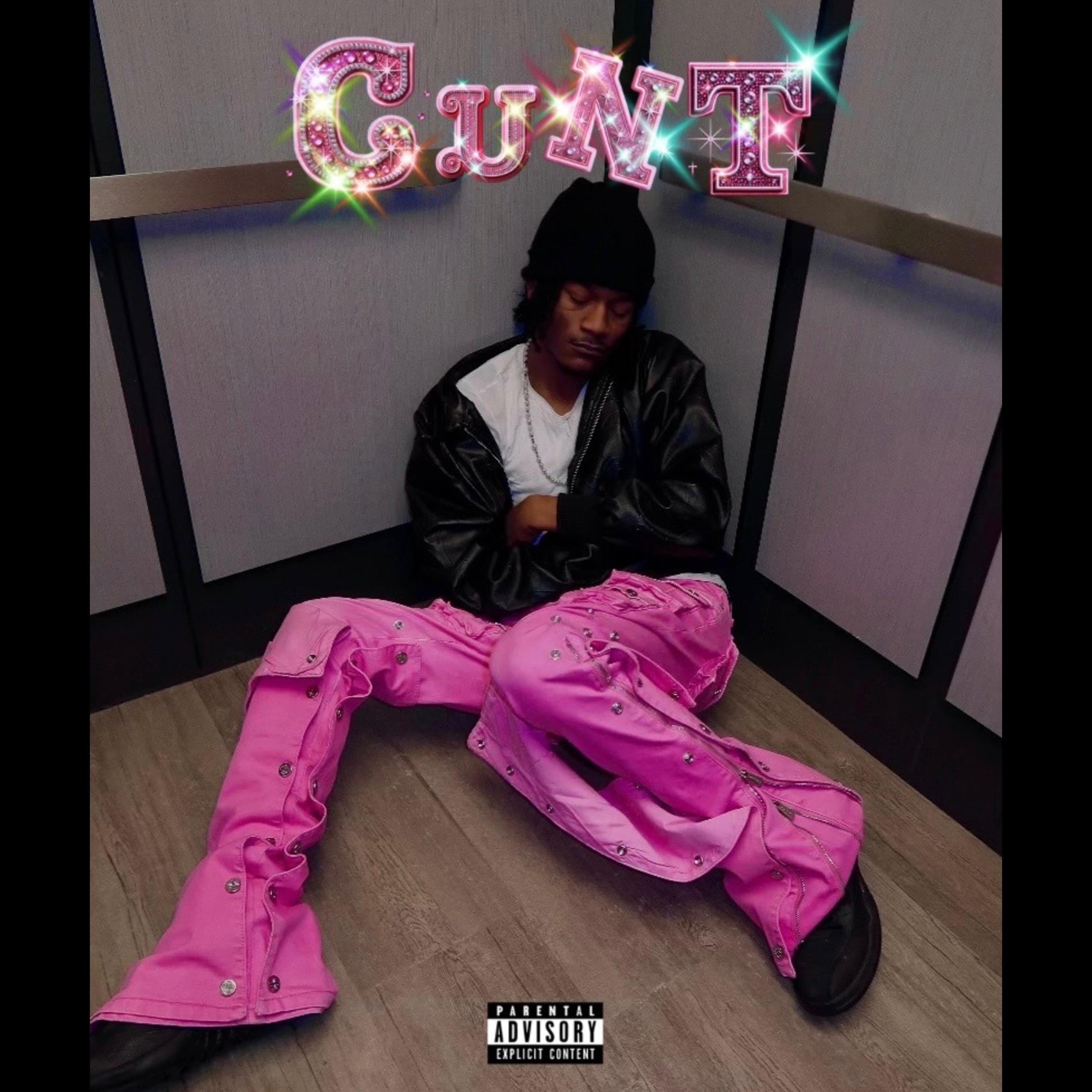 CuNT! by TONE cover art