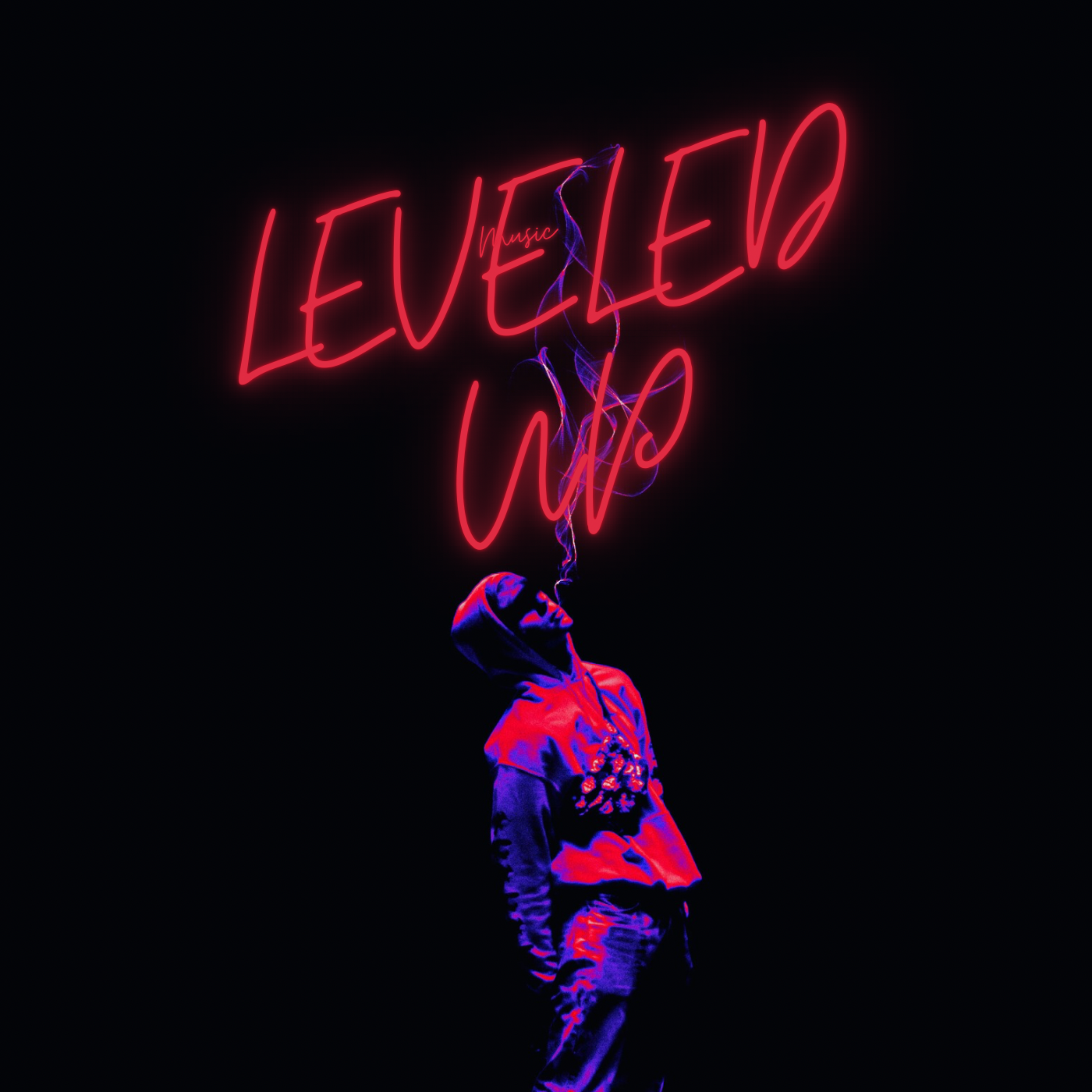Leveled Up artwork