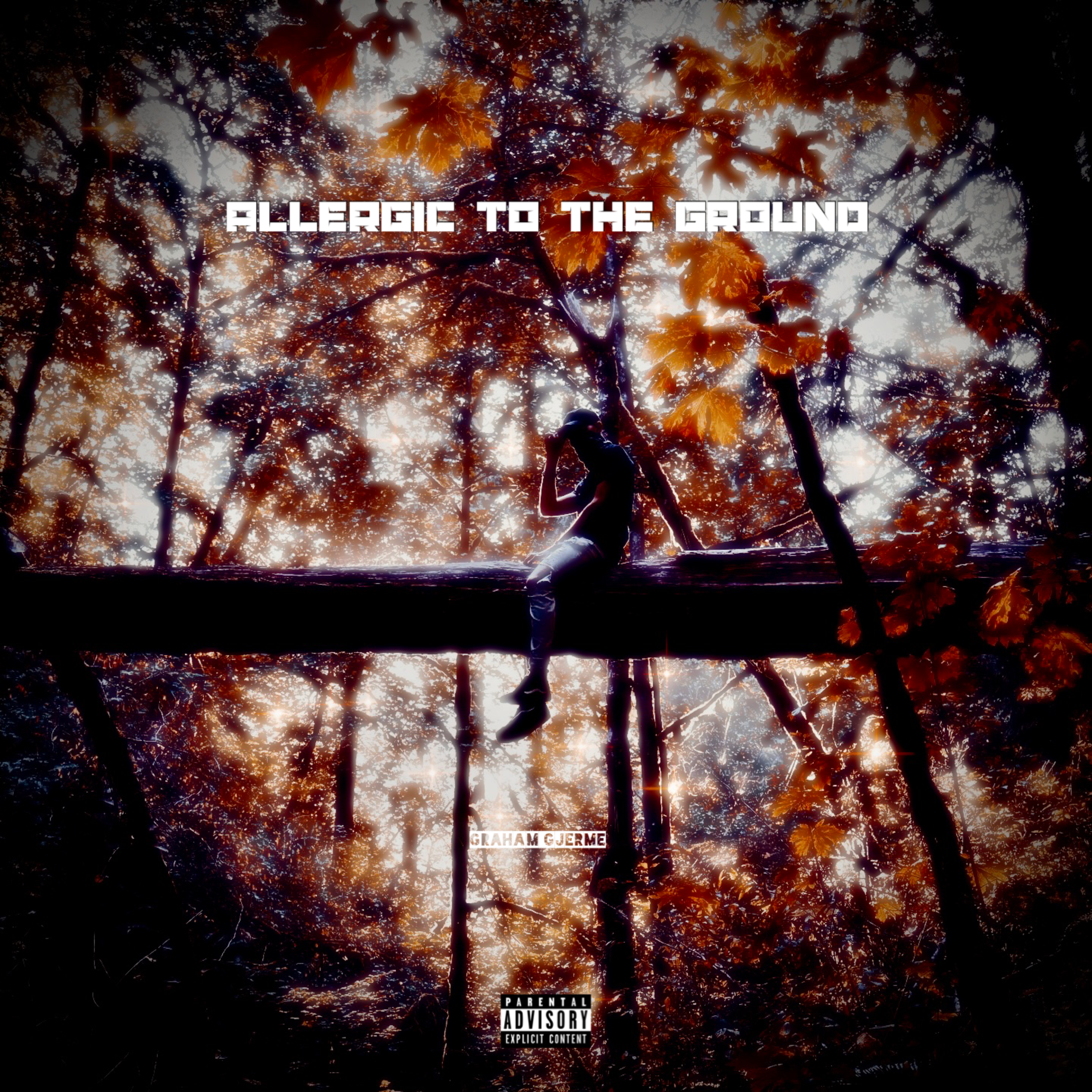 For The Boys artwork