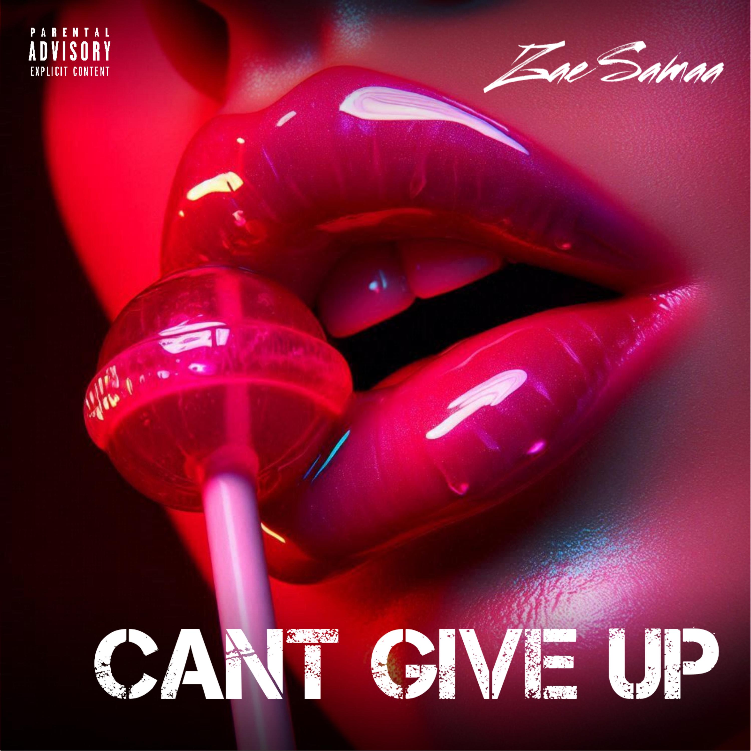 Can’t Give Up artwork