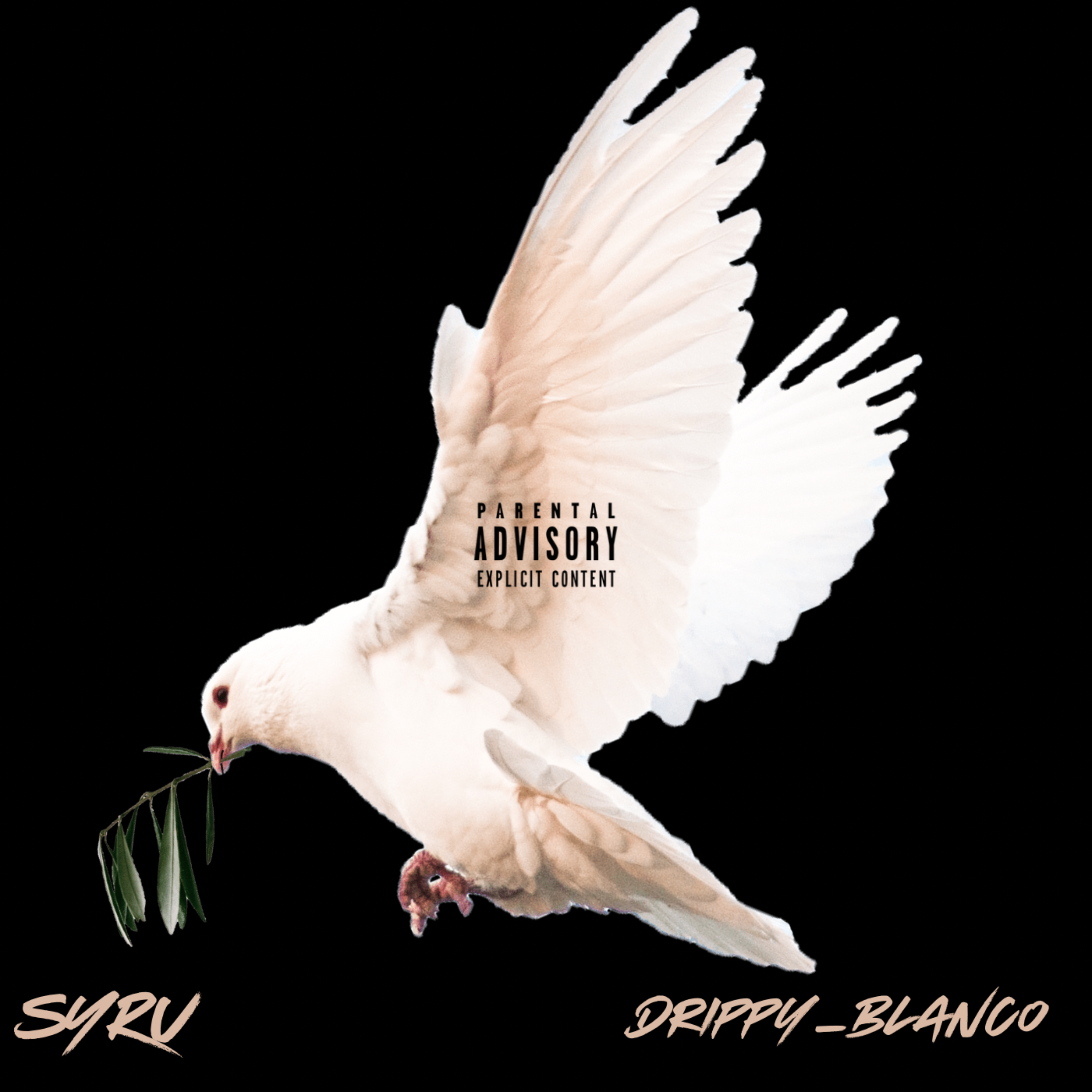 Fly Like A Bird artwork