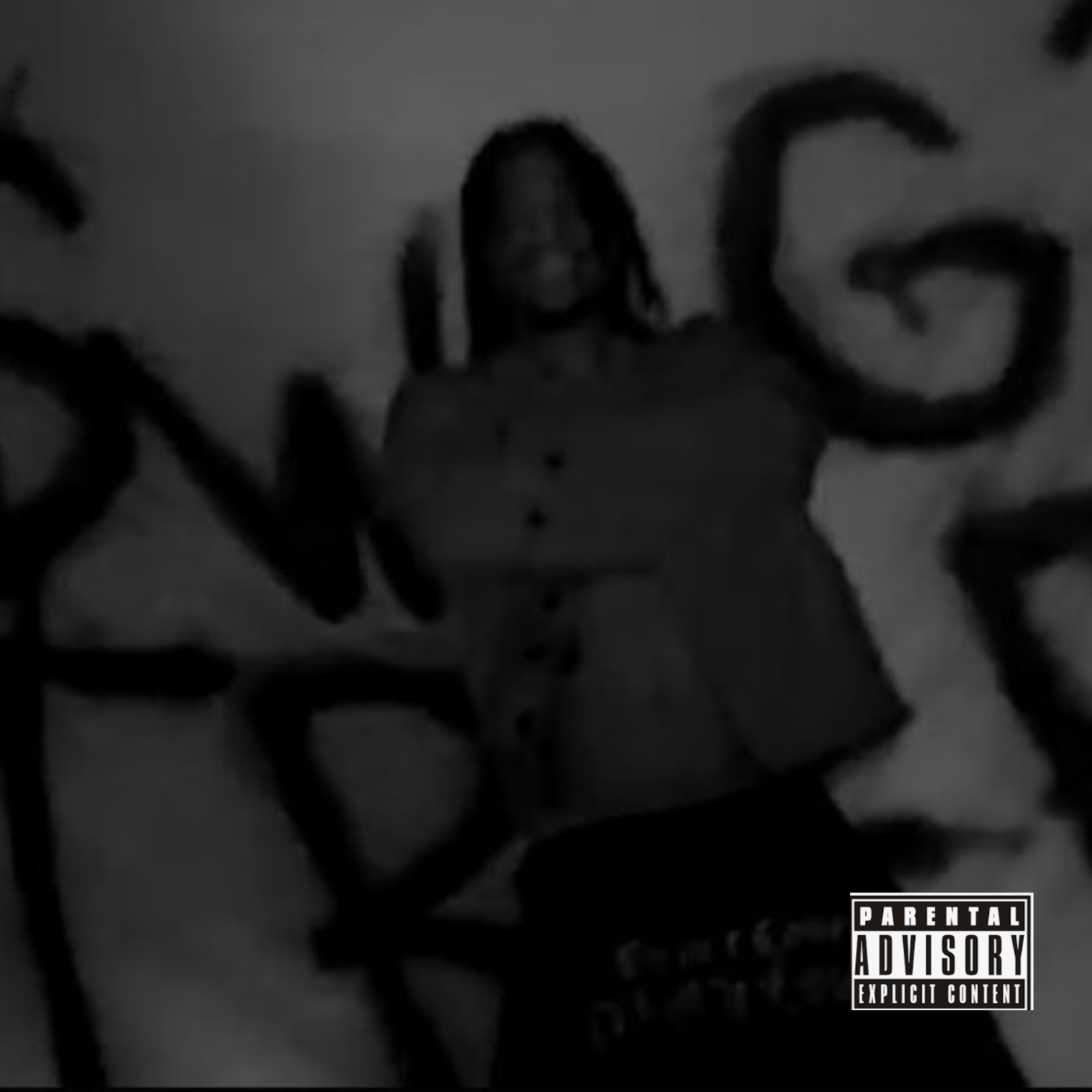 SWAG BIZNESS artwork