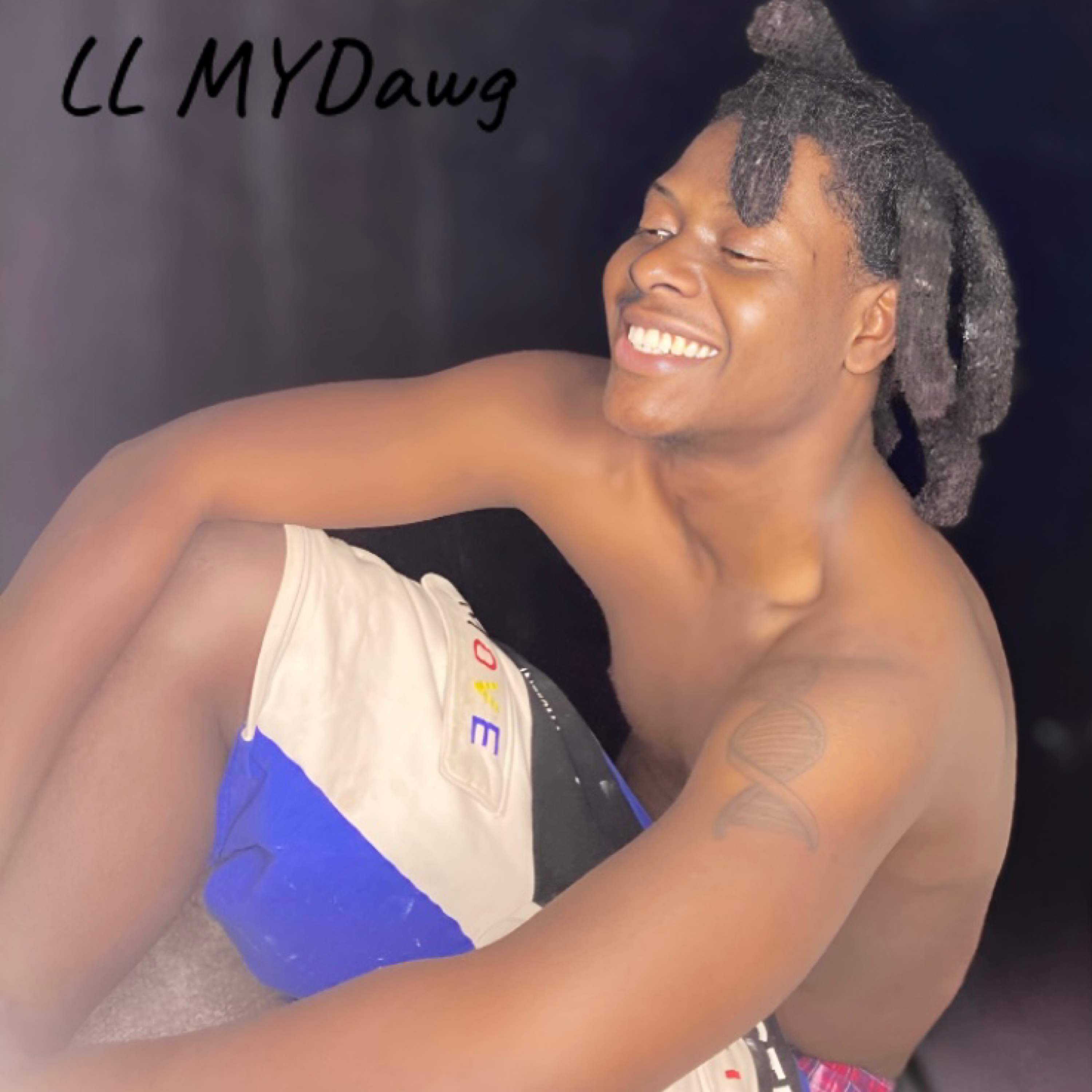 LL MYDawg artwork