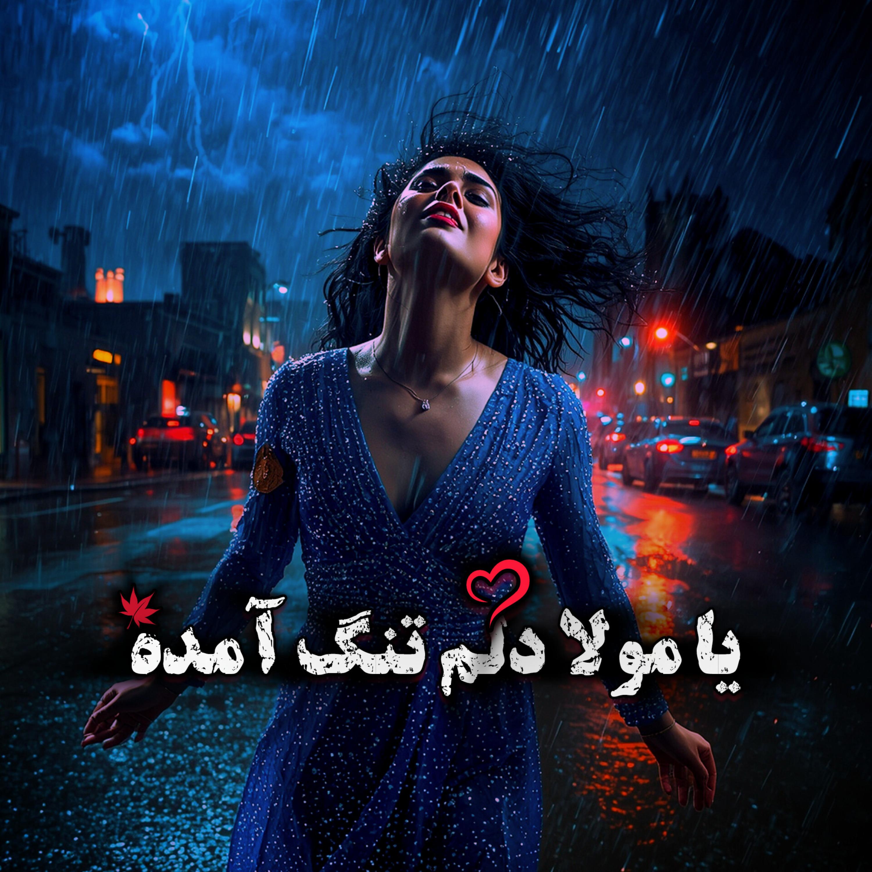 یا مولا دلم تنگ آمده artwork