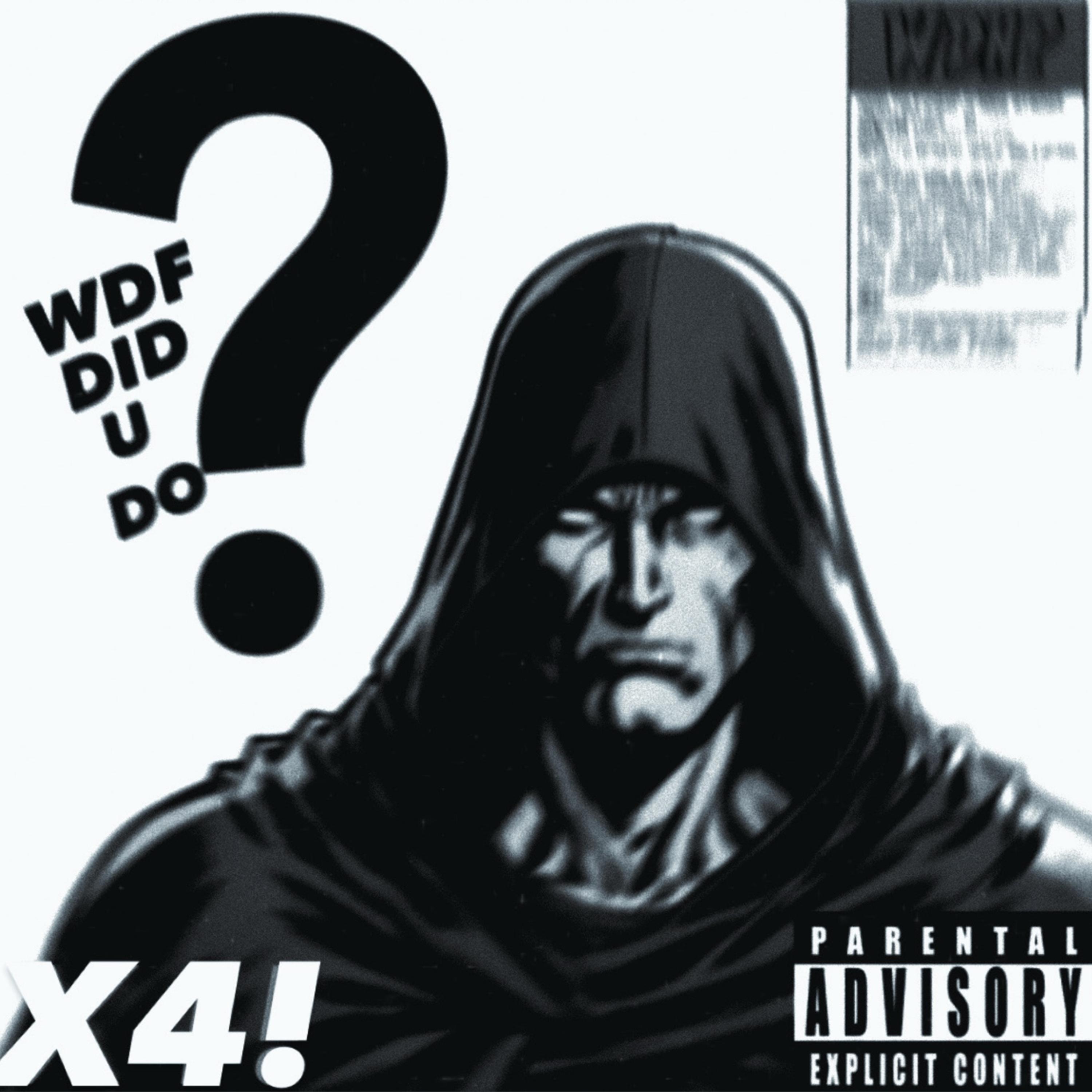 WDF DID U DO? artwork