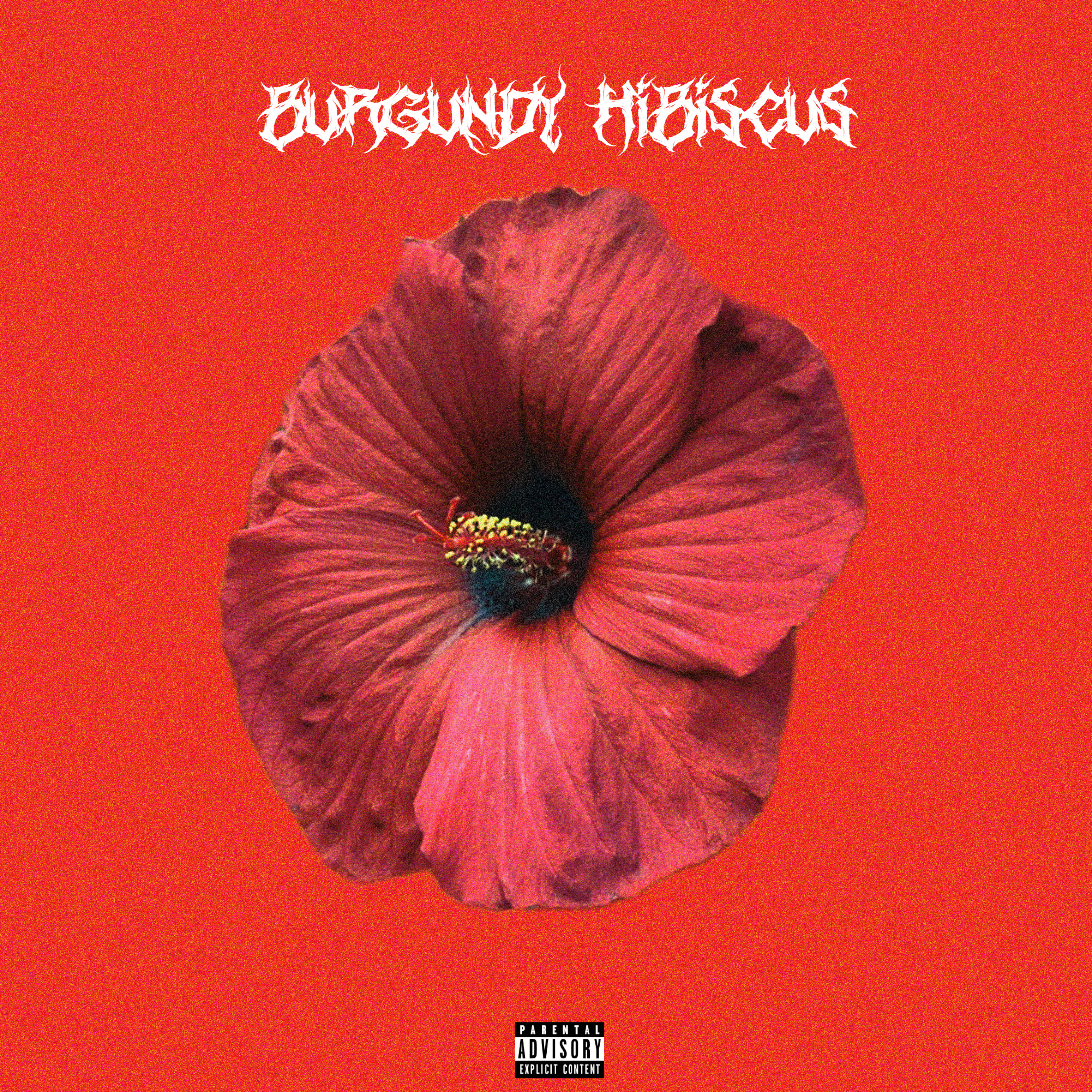 BURGUNDY HIBISCUS artwork