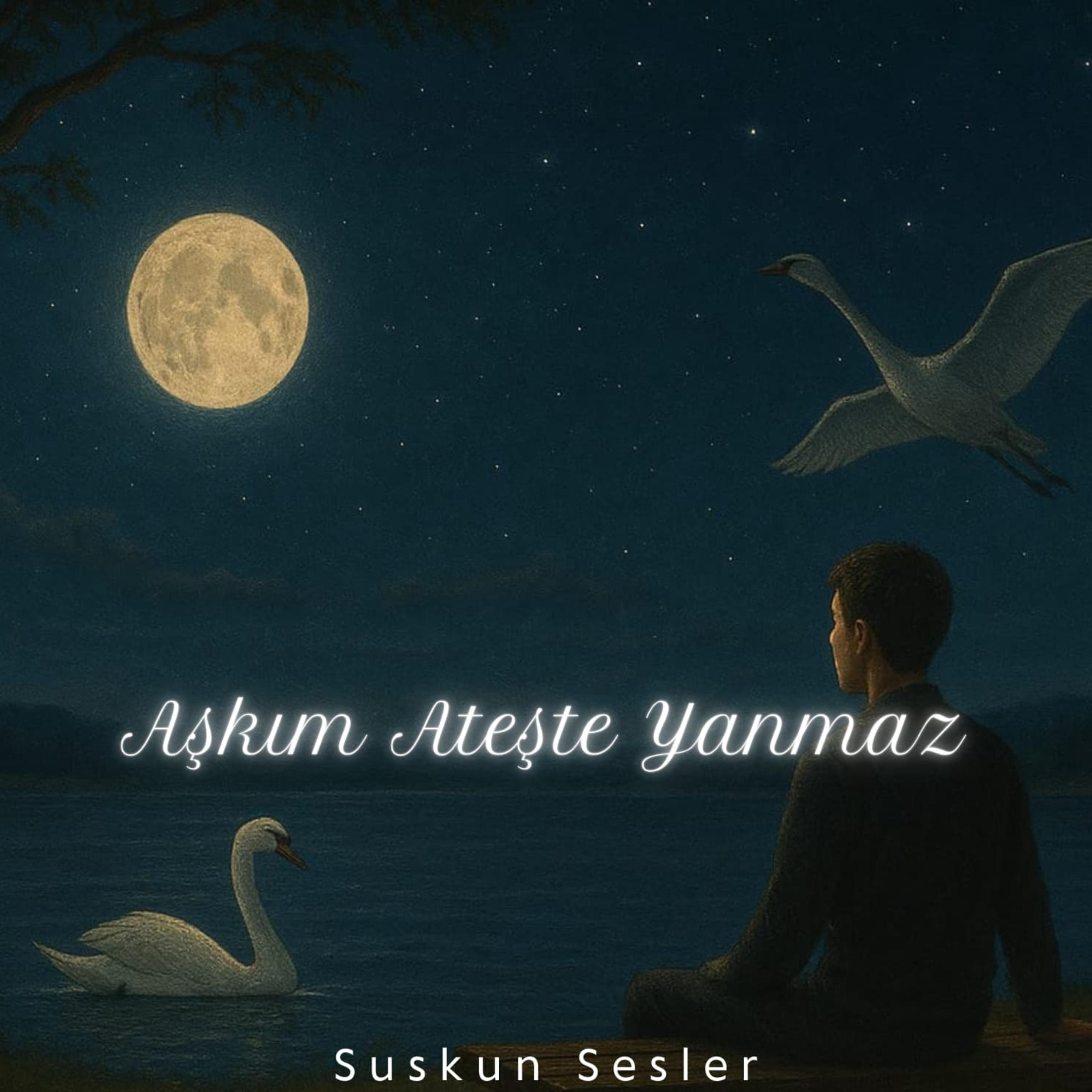 Aşkım Ateşte Yanmaz by Suskun Sesler cover art