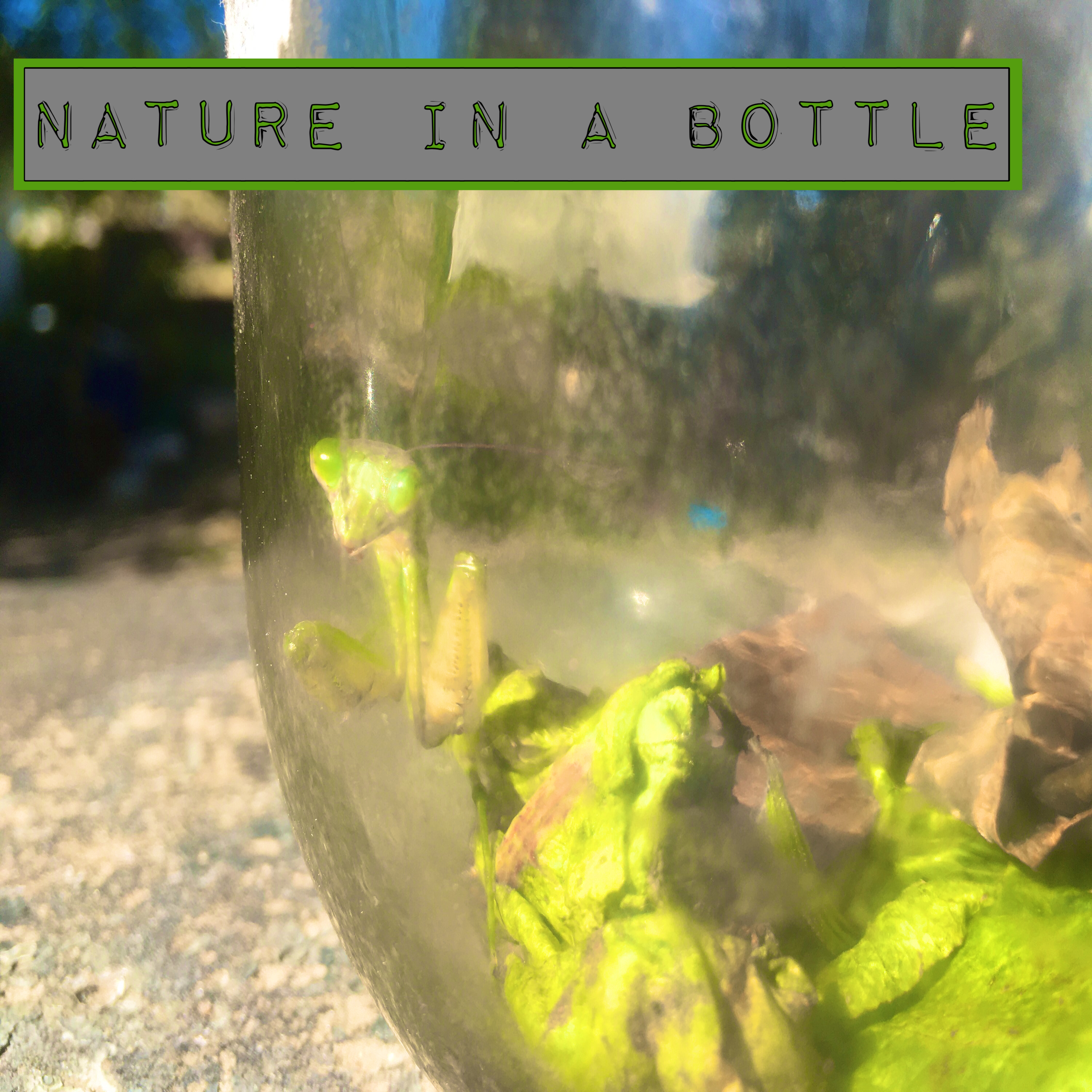 Nature In A Bottle by ToineOmari cover art