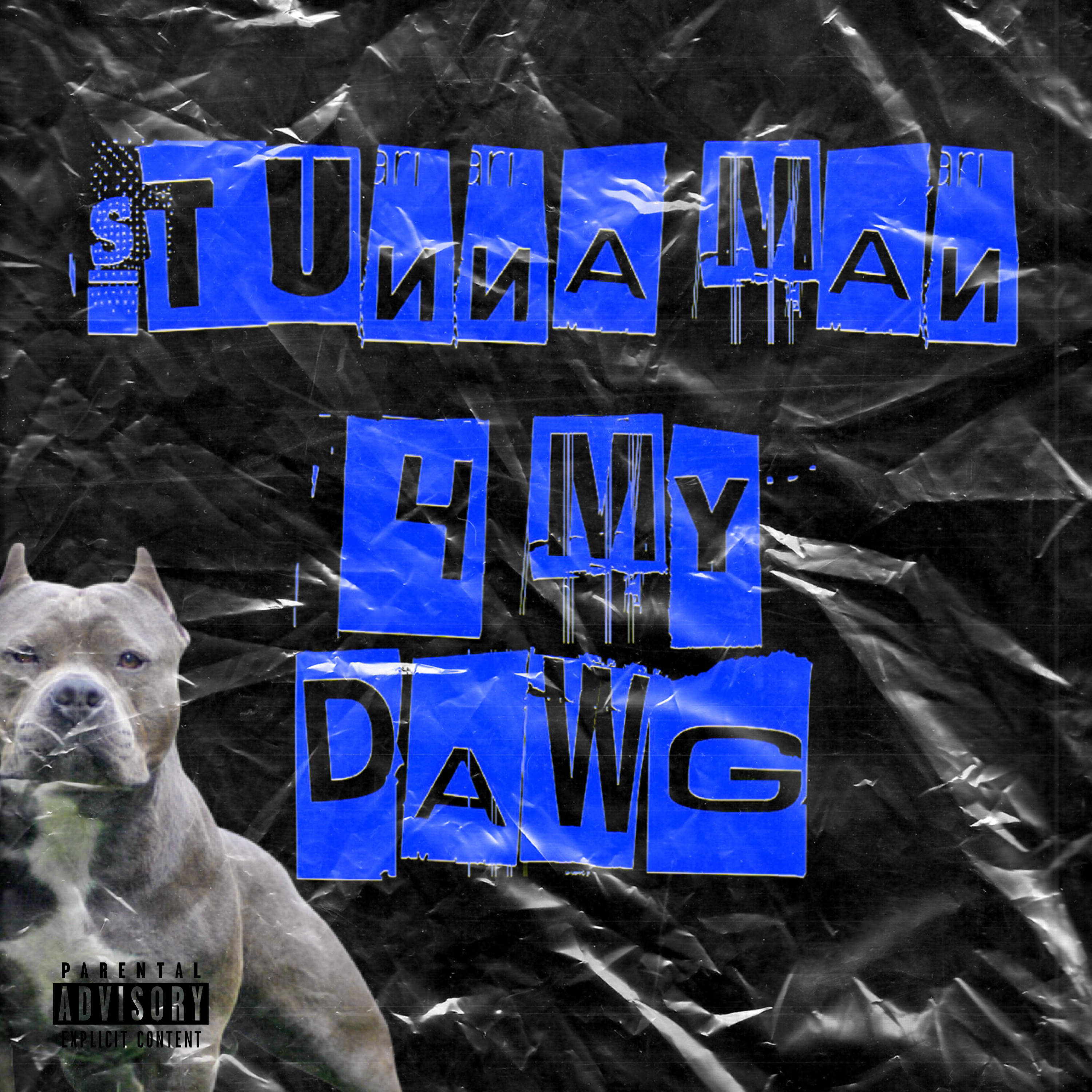 4 My Dawg (Free Money) artwork