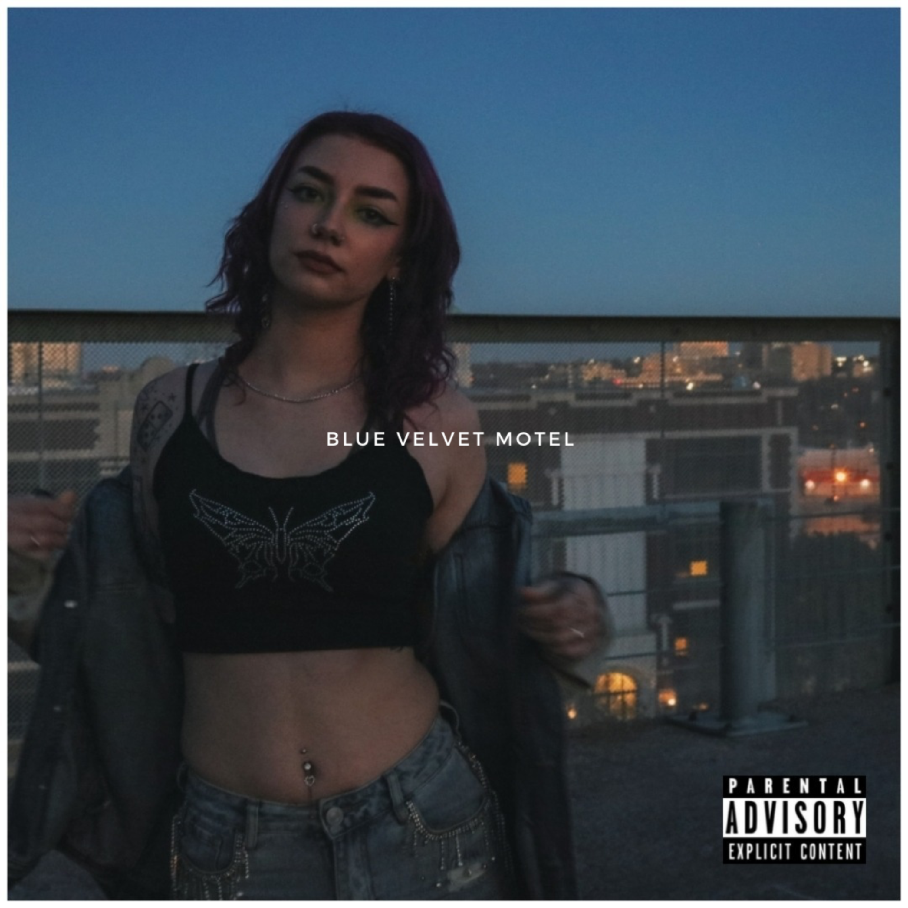 Blue Velvet Motel artwork