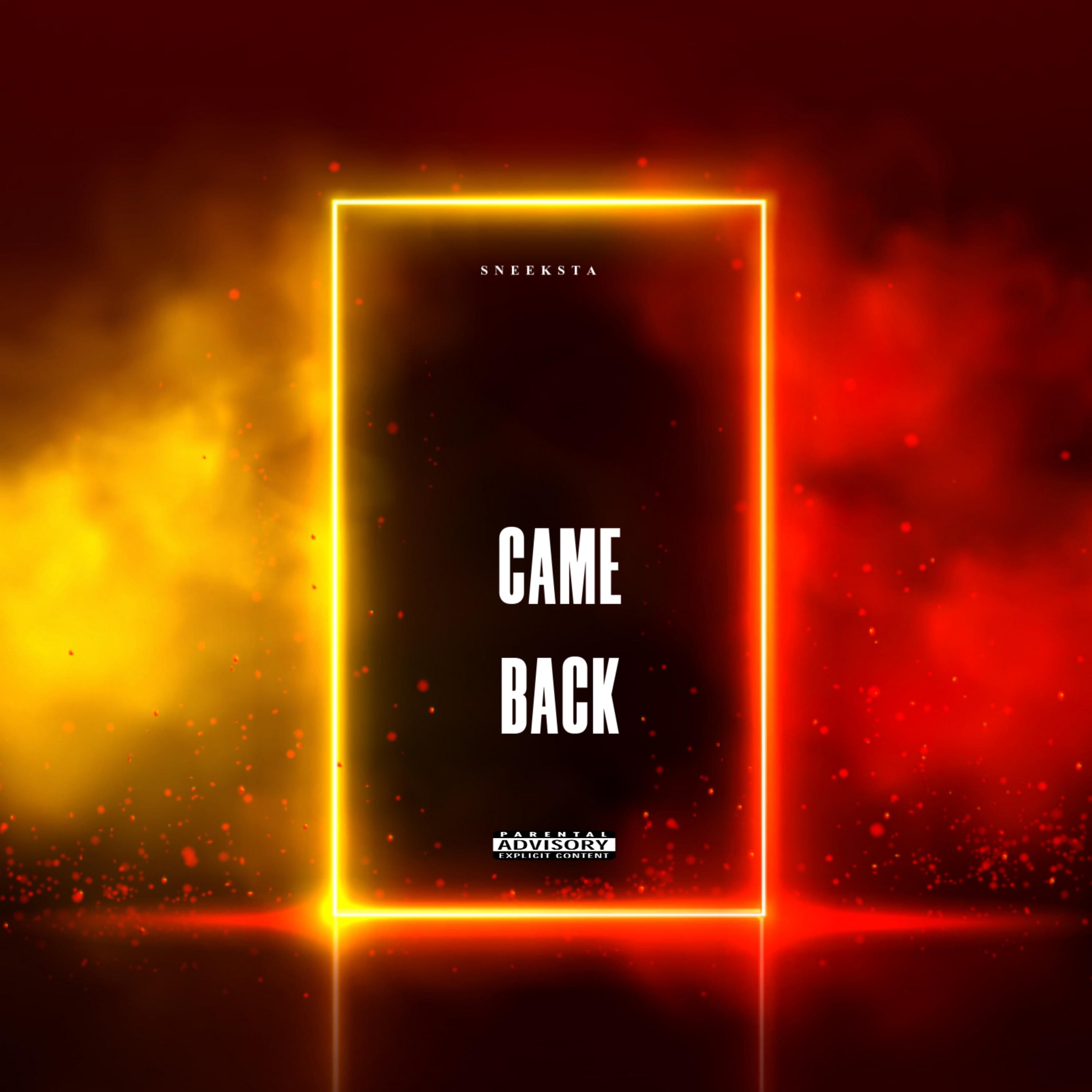 Came Back artwork