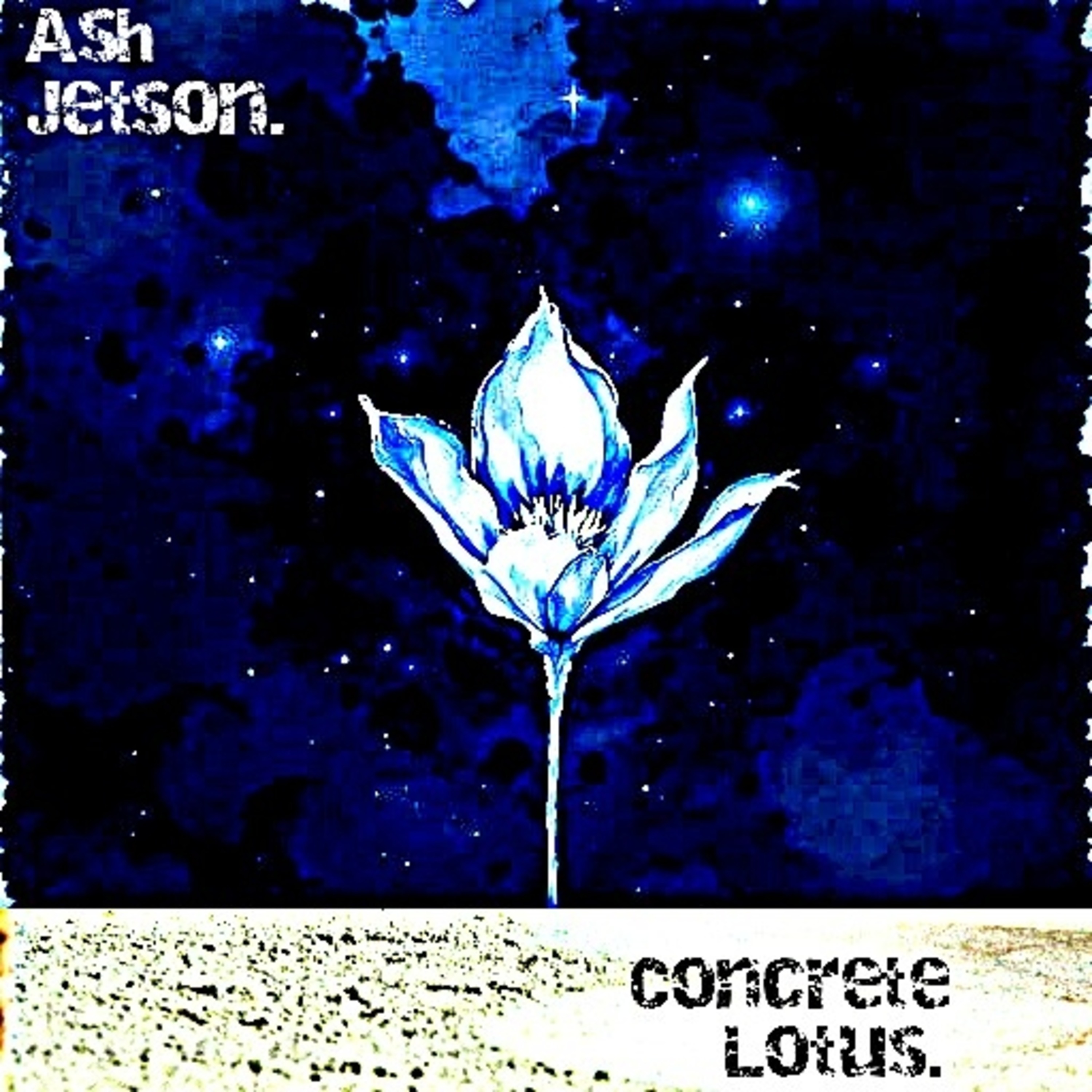Concrete Lotus. artwork