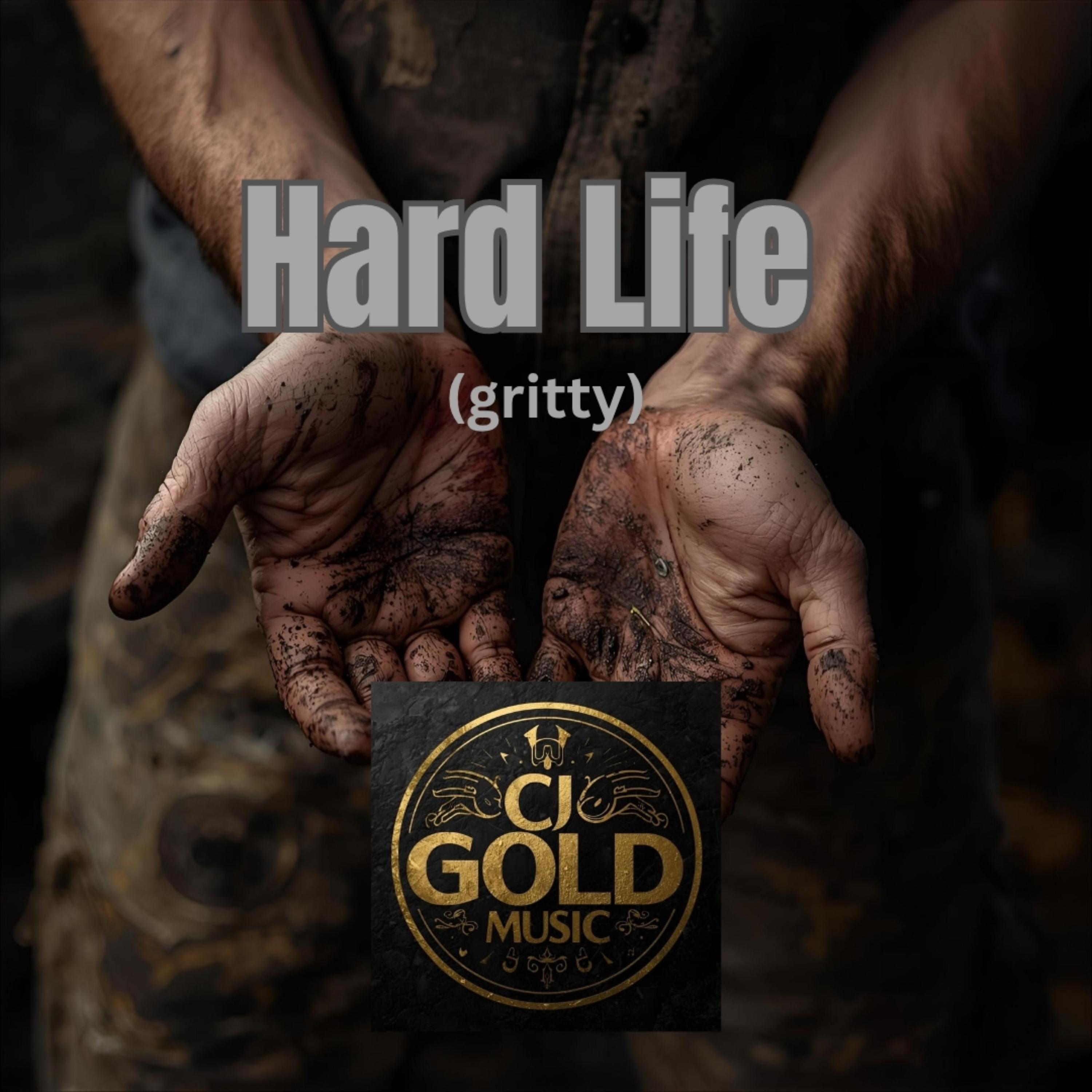 Hard Life (Gritty) artwork