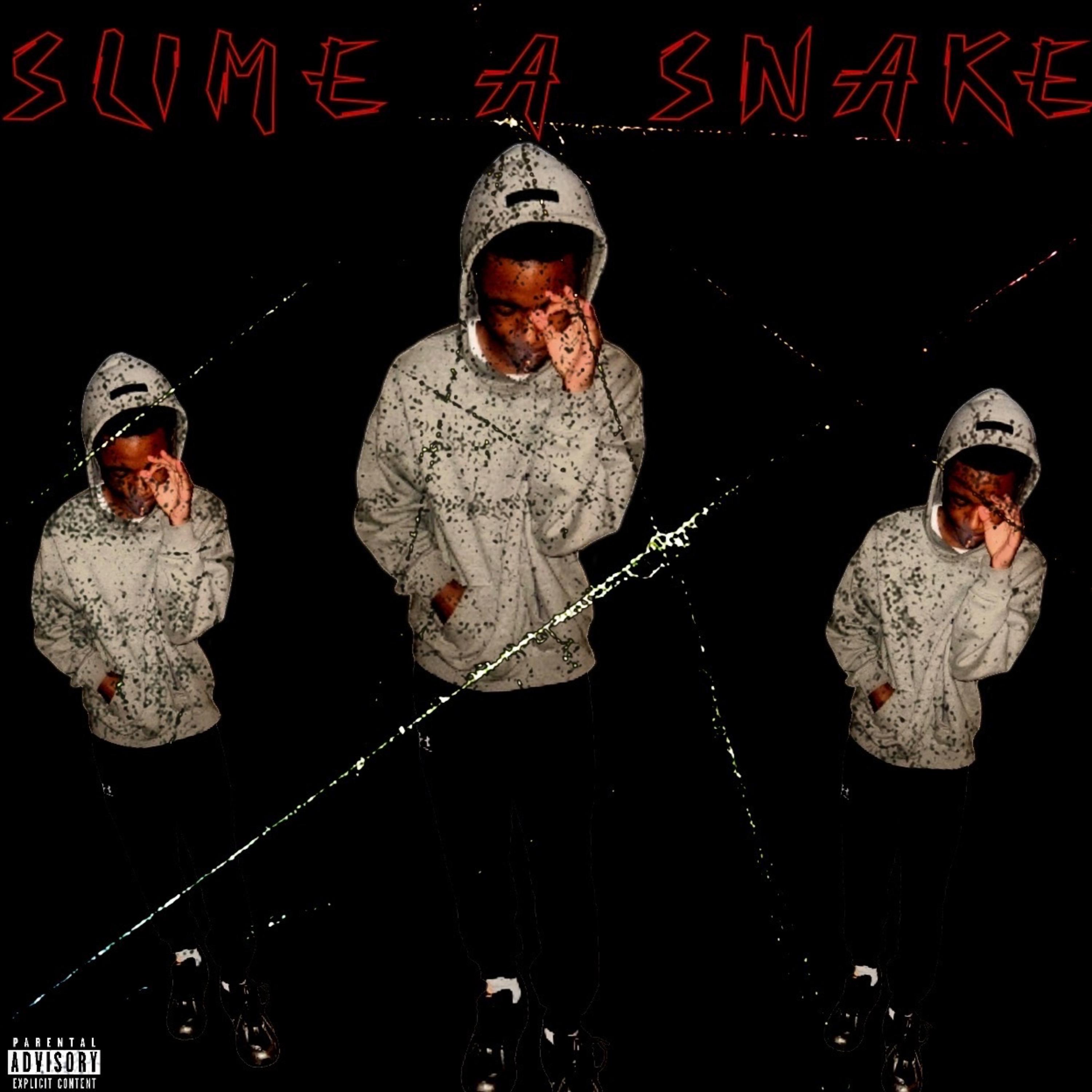 Slime A Snake artwork