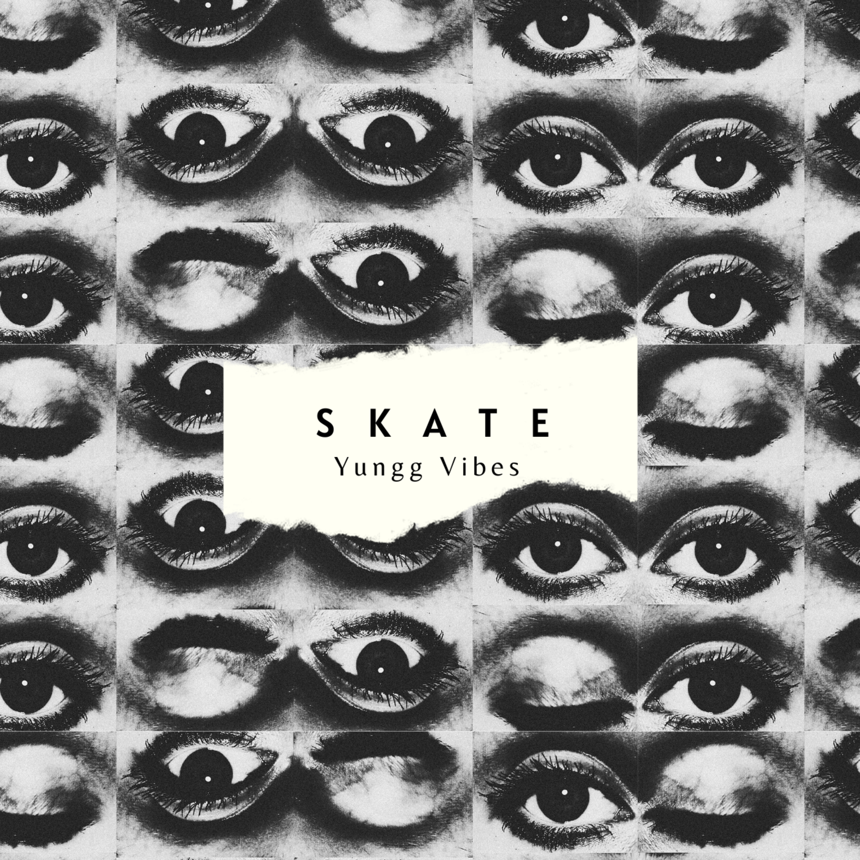 Skate artwork