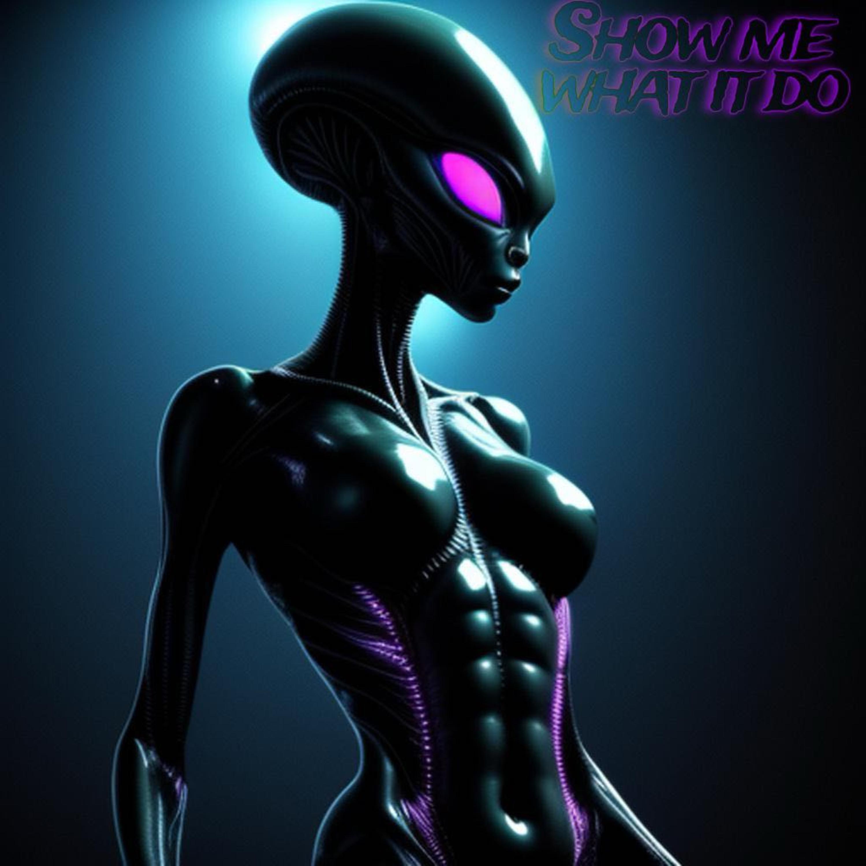 show me what it do artwork