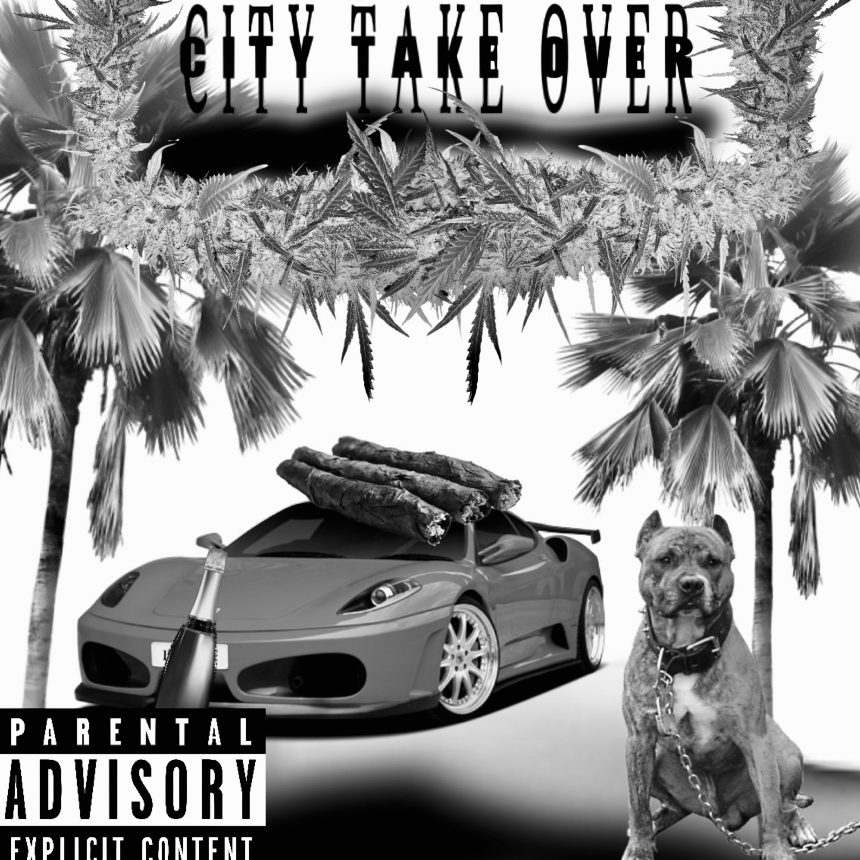 CITY TAKE OVER artwork