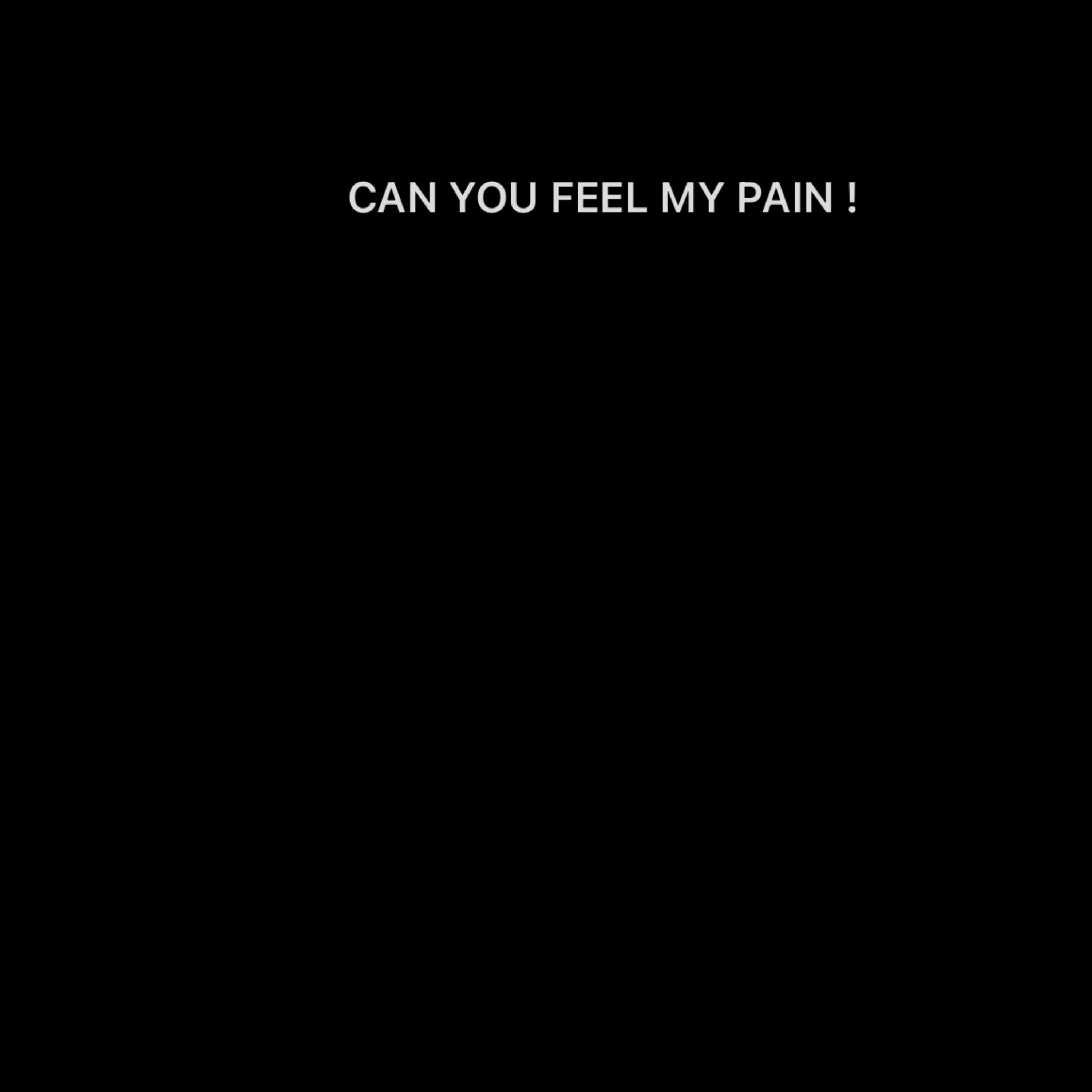 CAN YOU FEEL MY PAIN artwork