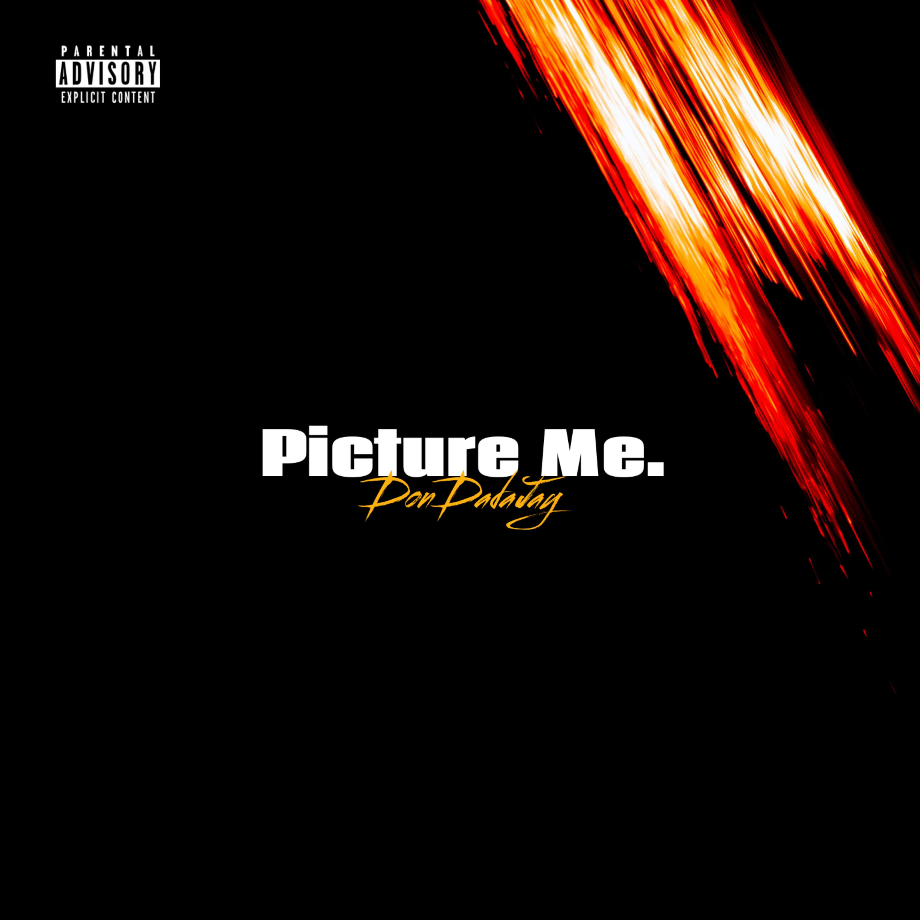 Picture Me artwork