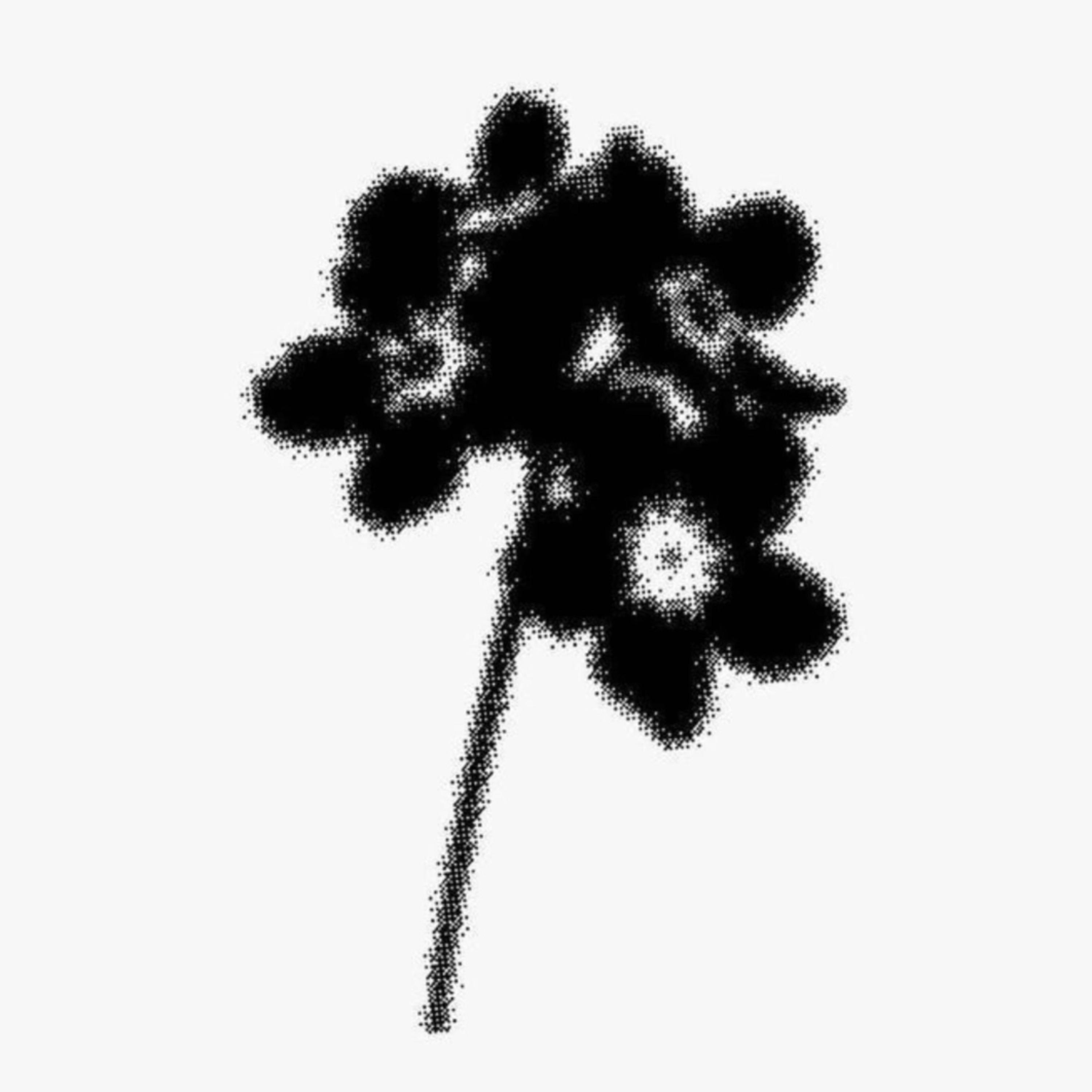 Saturday artwork