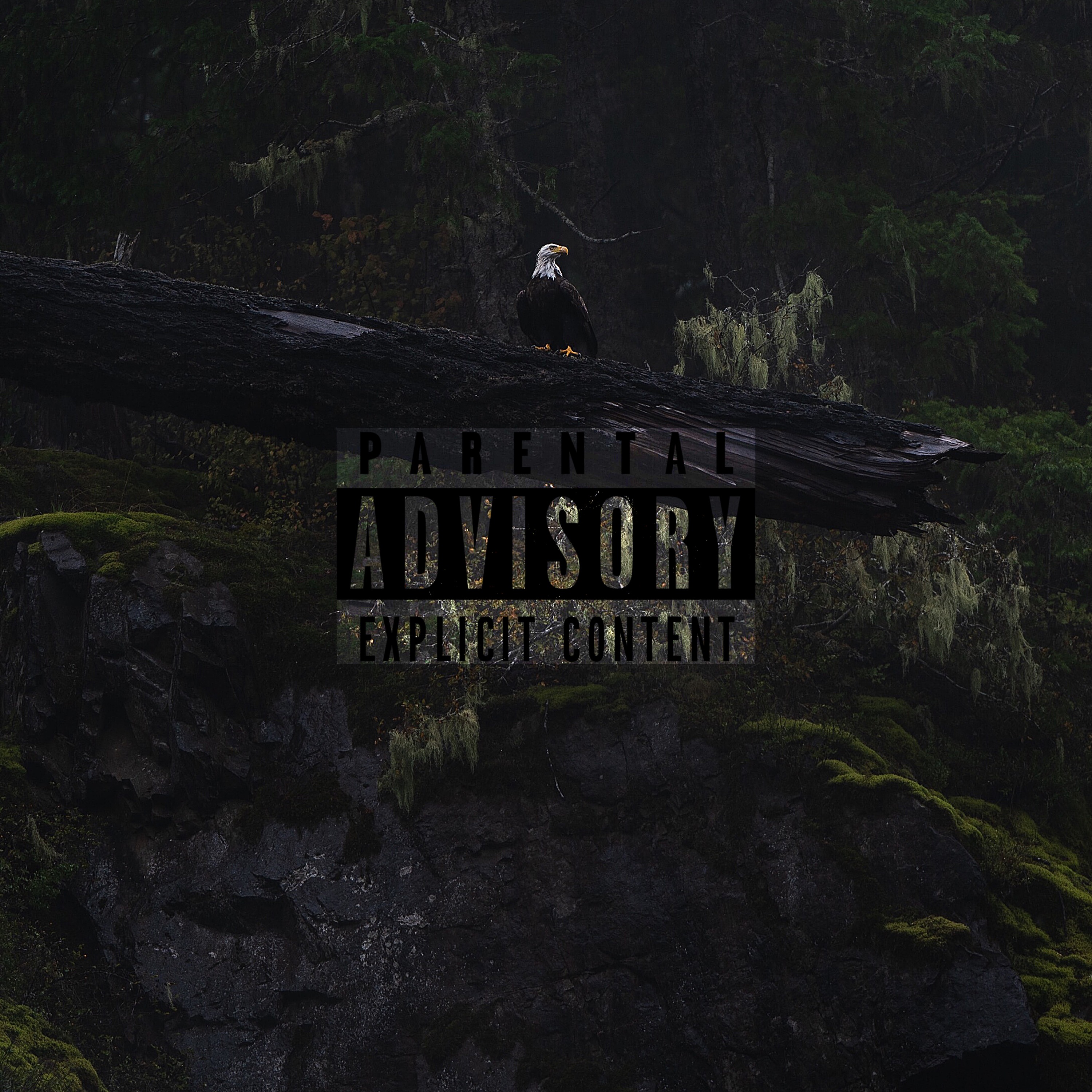 Eagle Eye artwork