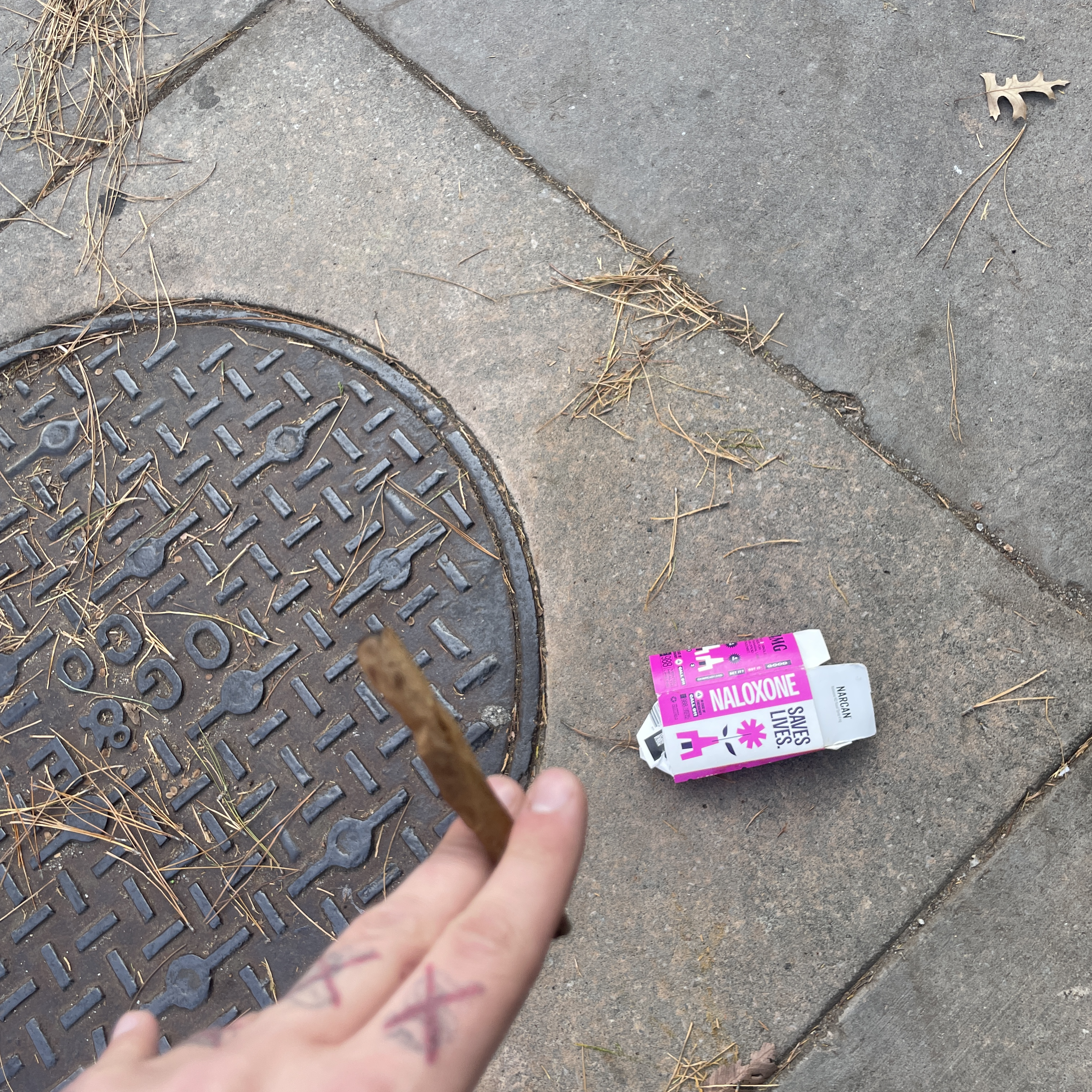 Eels & Escalators artwork